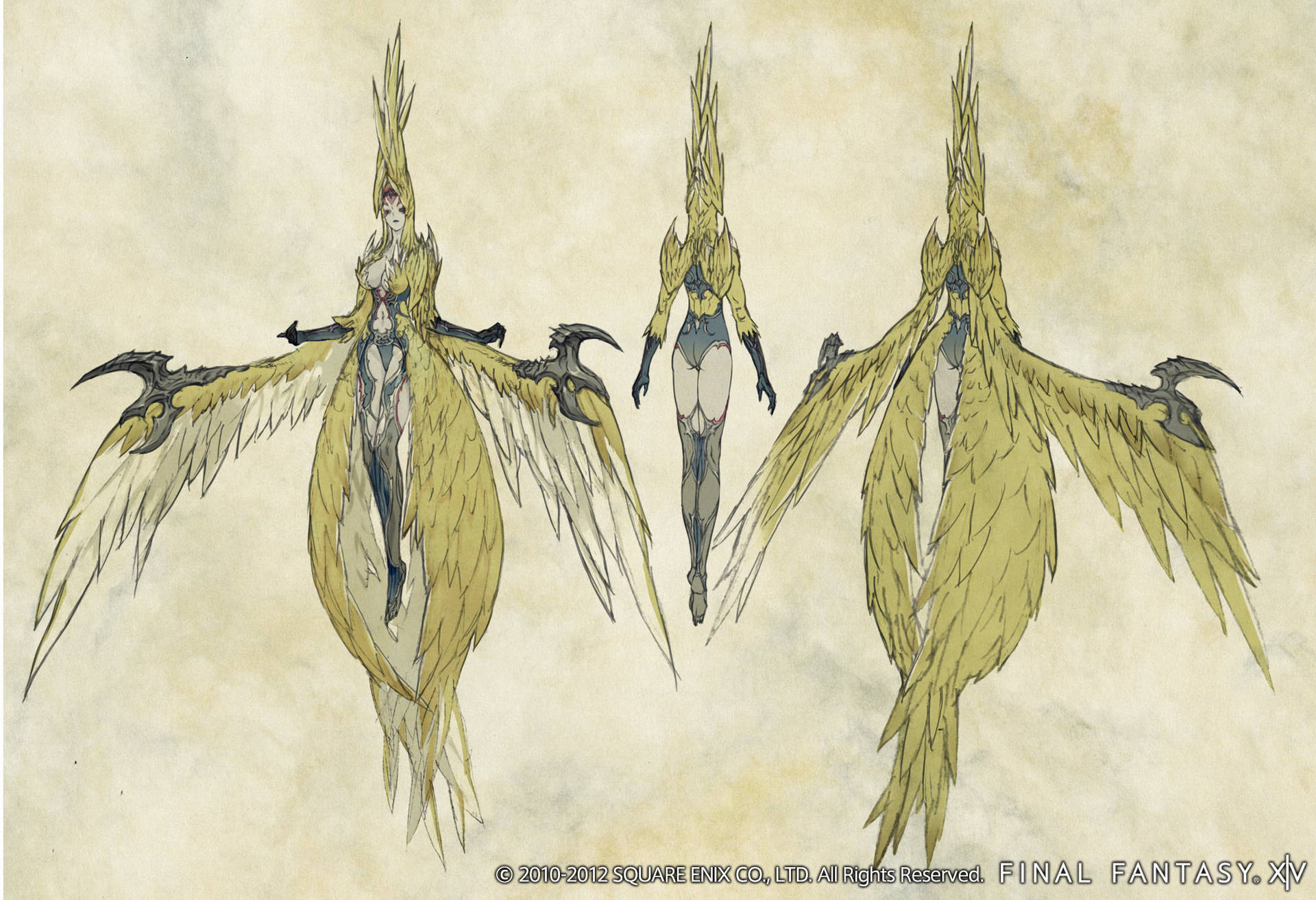 來自《Final Fantasy XIV》的金色羽毛奇幻角色的三個視圖。