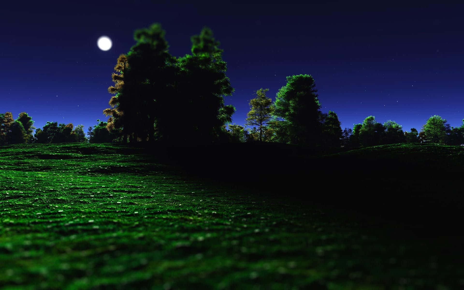 Moonlight 桌布 壁紙 — 月光下的一片翠綠草地，星空夜幕下遠方有樹木剪影。