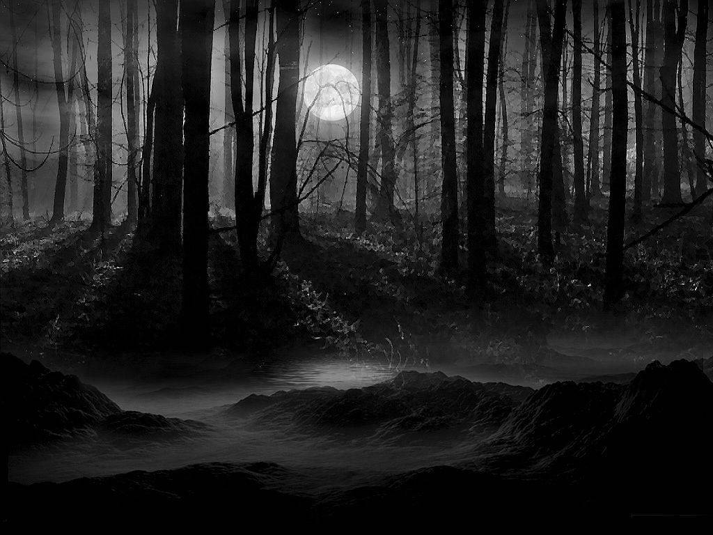 Dark Night 桌布 壁紙 — 月光下的夜晚森林，高大的光禿樹木在霧氣瀰漫的小溪上投下長長的影子。