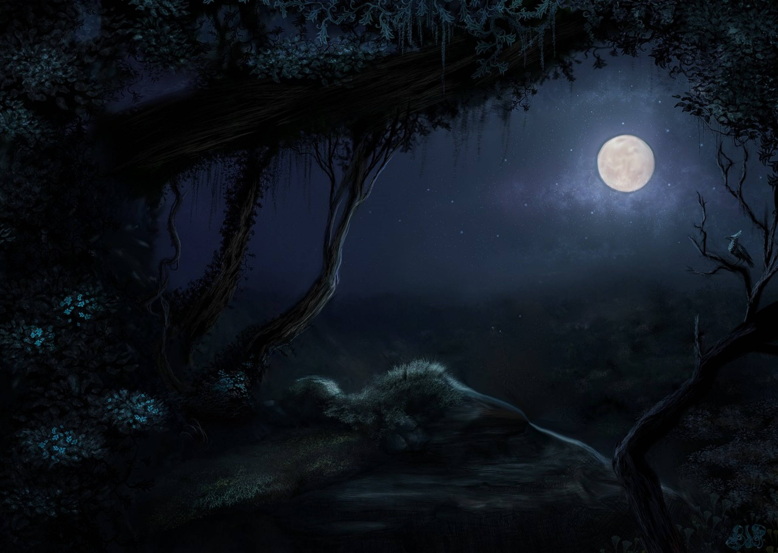 月夜星空 桌布 壁紙 — 月光下的森林場景，扭曲的樹木框住了一輪發光的滿月，懸掛在霧氣瀰漫的河流之上，背景是繁星點點的夜空。