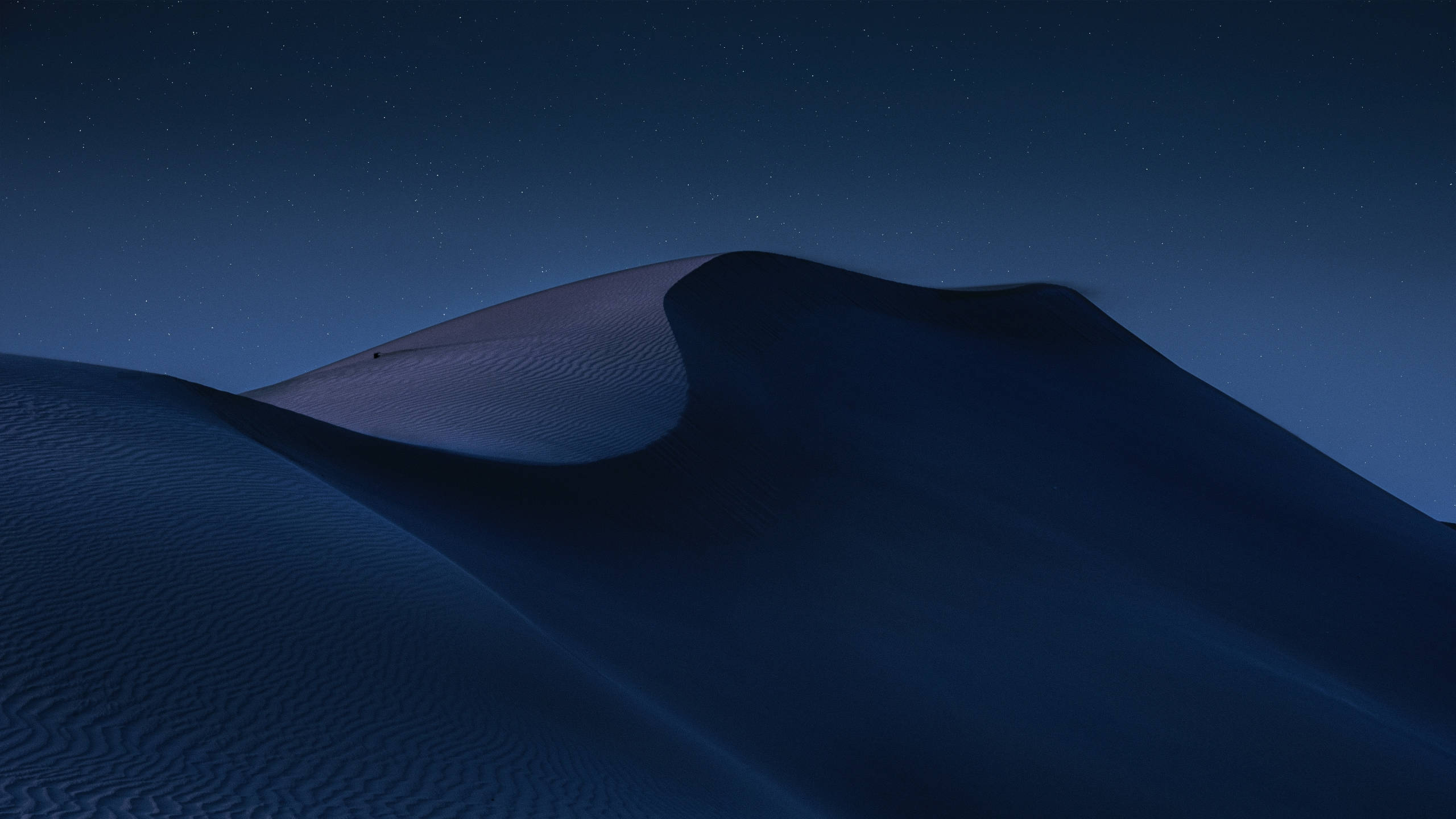 2560x1440 nature 桌布 壁紙 — 月光下的沙漠沙丘在繁星點點的夜空下起伏，帶有深靛藍色調和柔和陰影。