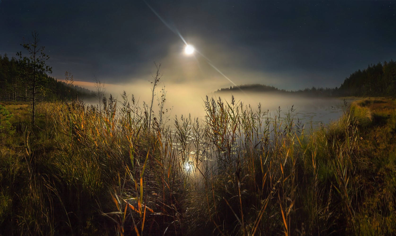 Beautiful Full Moon 桌布 壁紙 — 月光穿過薄霧，照在一個被高草和森林環繞的寧靜湖泊上，夜空繁星點點。