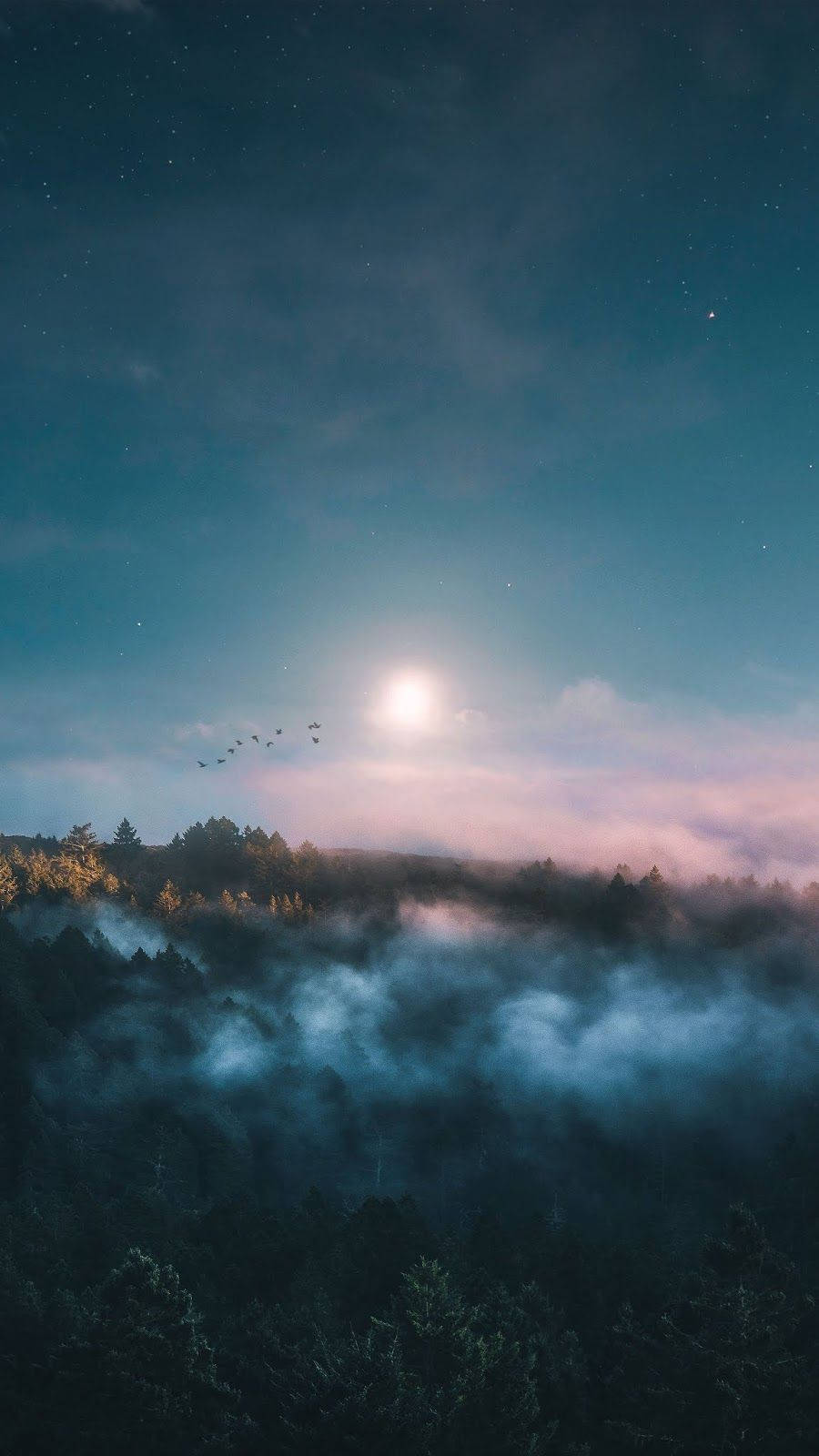 Twilight Aesthetic 桌布 壁紙 — 月光穿過霧雲，照耀著森林覆蓋的山谷，鳥群在繁星點點的夜空下編隊飛行。