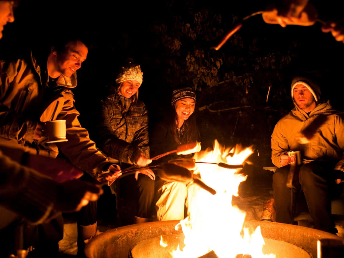 Bonfire 桌布 壁紙 — 朋友們在夜晚的黑暗樹下圍著熊熊營火大笑並烤棉花糖。