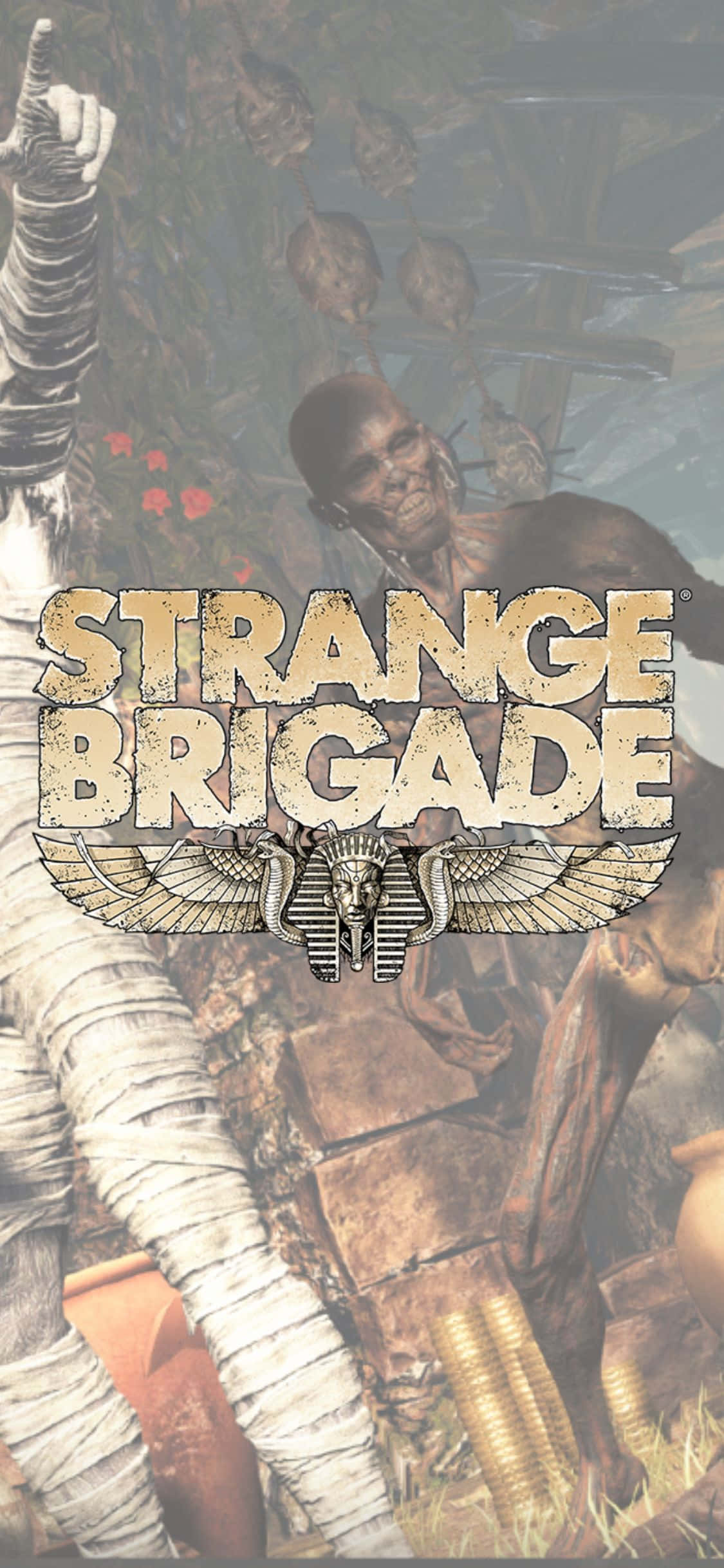 骷髏動圖 桌布 壁紙 — 木乃伊和古埃及戰士站在廢墟中，'Strange Brigade' 標誌顯眼地展示。