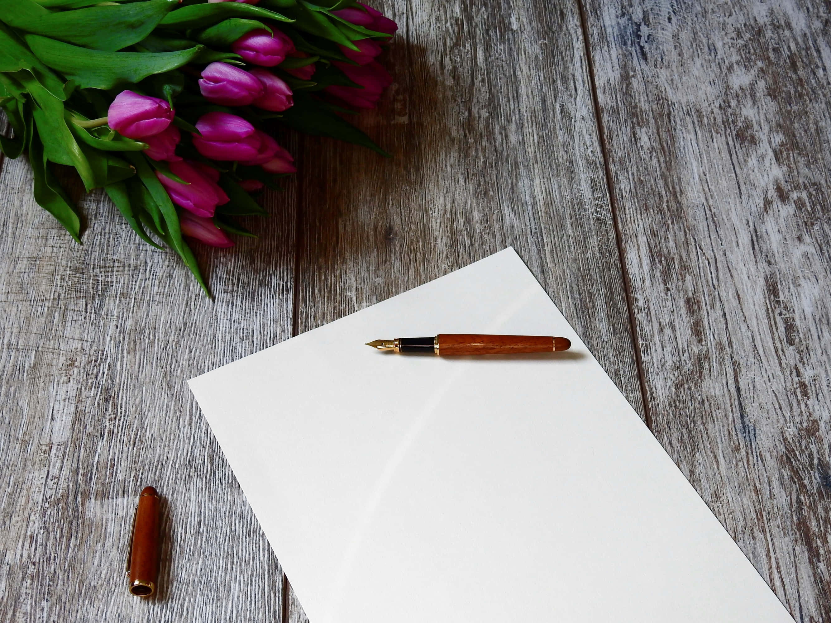 Pen 桌布 壁紙 — 木桌上放著粉紅色鬱金香、綠葉、一張空白白紙和一支棕色筆蓋打開的鋼筆。