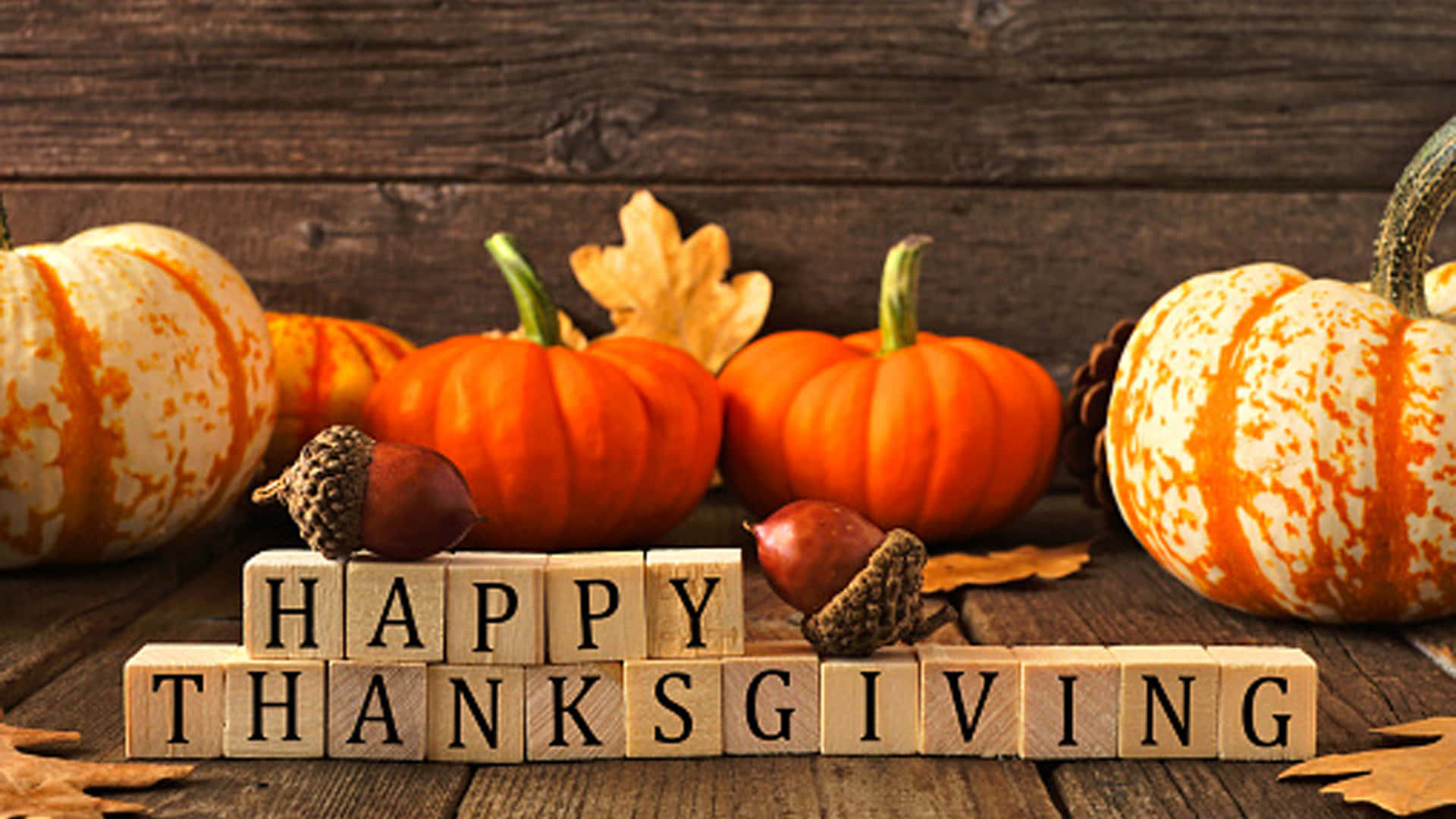 節日 桌布 壁紙 — 木製方塊拼出 happy thanksgiving，周圍環繞著南瓜、橡果和秋葉，置於質樸的木質表面上。