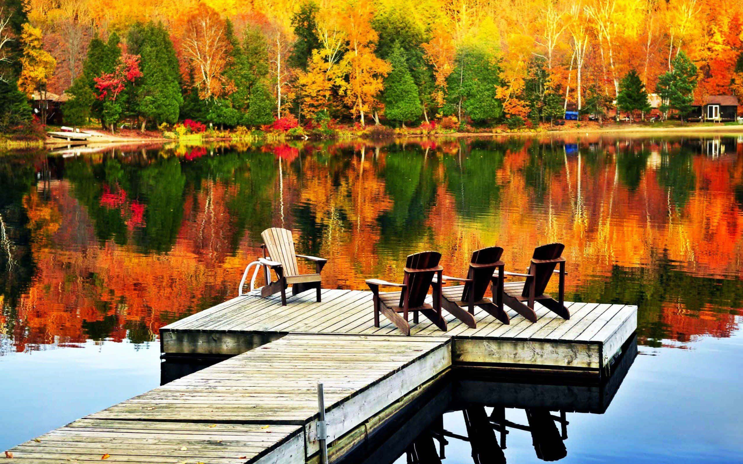Fall Lake 桌布 壁紙 — 木製碼頭延伸至平靜的湖面，倒映著火紅的秋樹，阿迪朗達克椅邀請您靜心沉思。