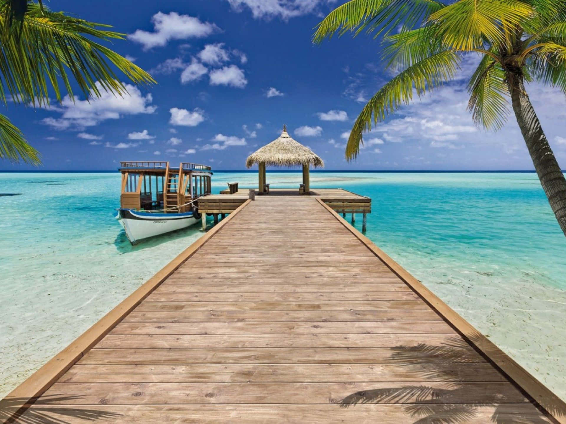 Beach Resort 桌布 壁紙 — 木製碼頭延伸至碧綠色的海水，在明亮的藍天下有散落的雲朵和棕櫚樹框住場景。