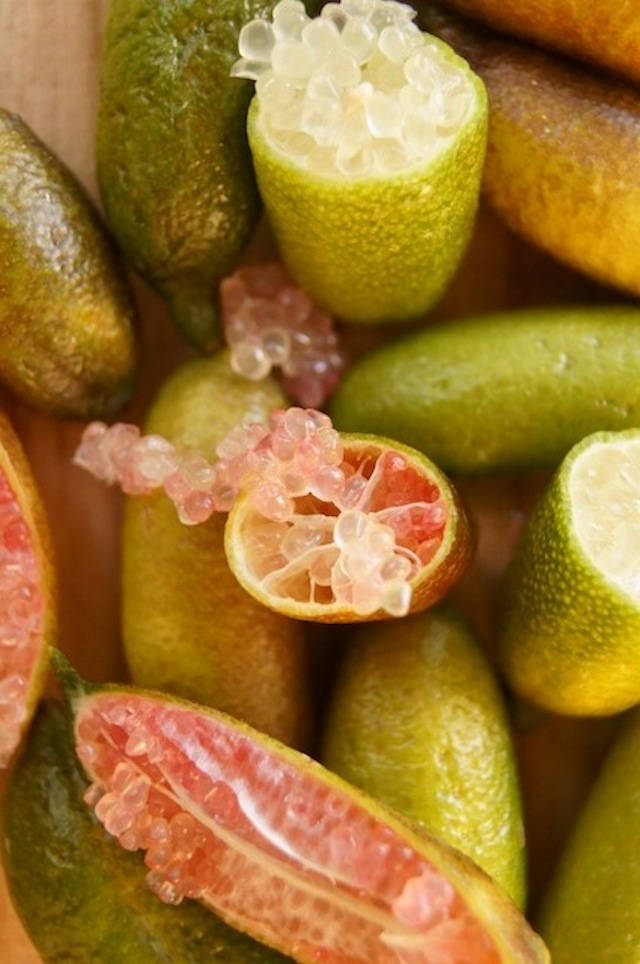 Fruits 桌布 壁紙 — 木質表面上切半金橘的特寫，露出閃閃發光的粉白色果肉和綠色果皮。