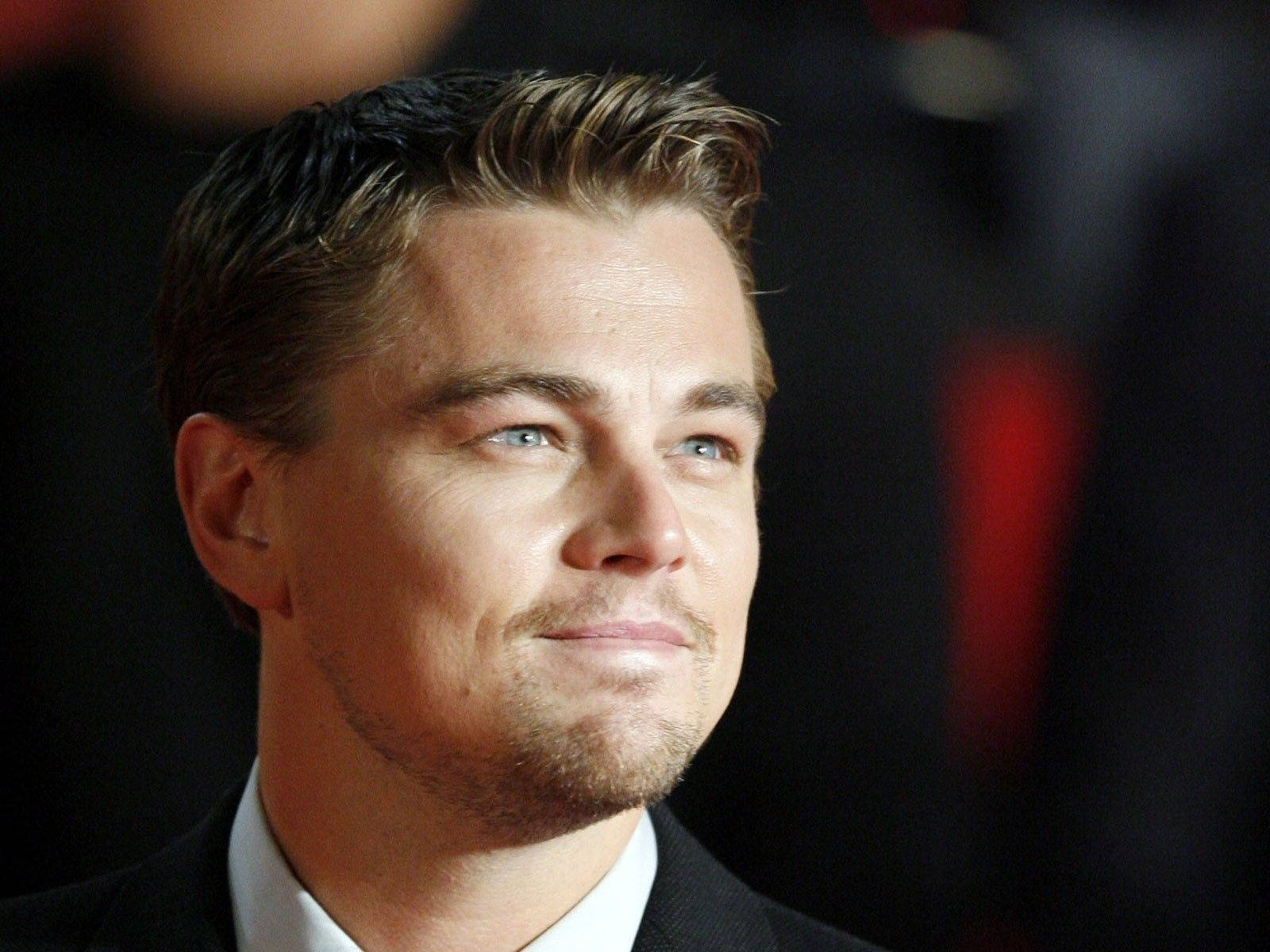 Dicaprio 桌布 壁紙 — 李奧納多·狄卡皮歐身穿西裝的close-up肖像，柔和燈光，背景模糊。