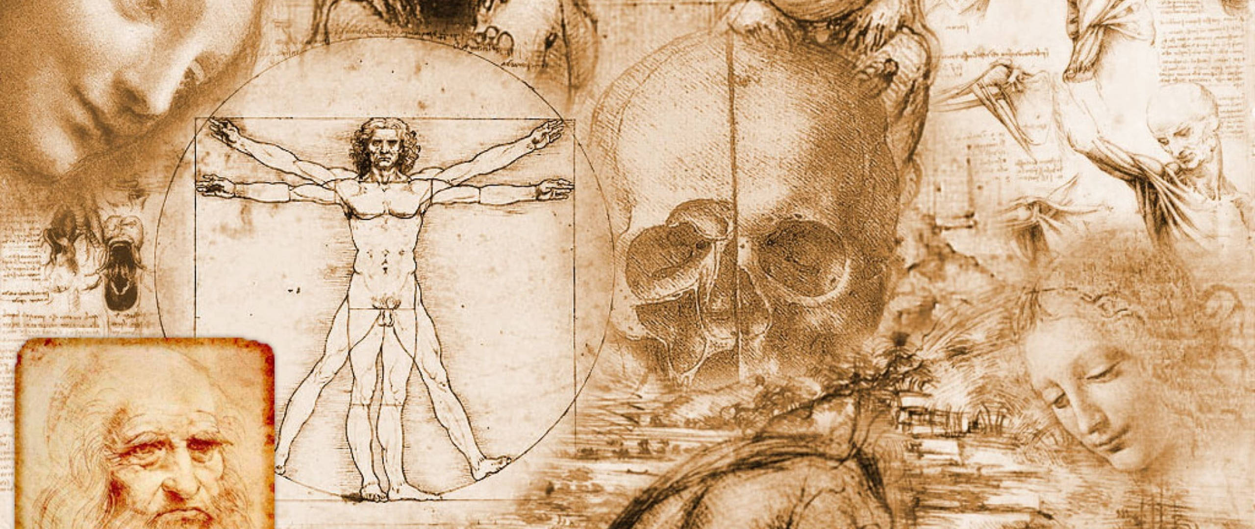 Leonardo Da Vinci 桌布 壁紙 — 李奧納多·達文西素描的拼貼畫，包括維特魯威人、頭骨研究和肖像碎片，以棕褐色調呈現。