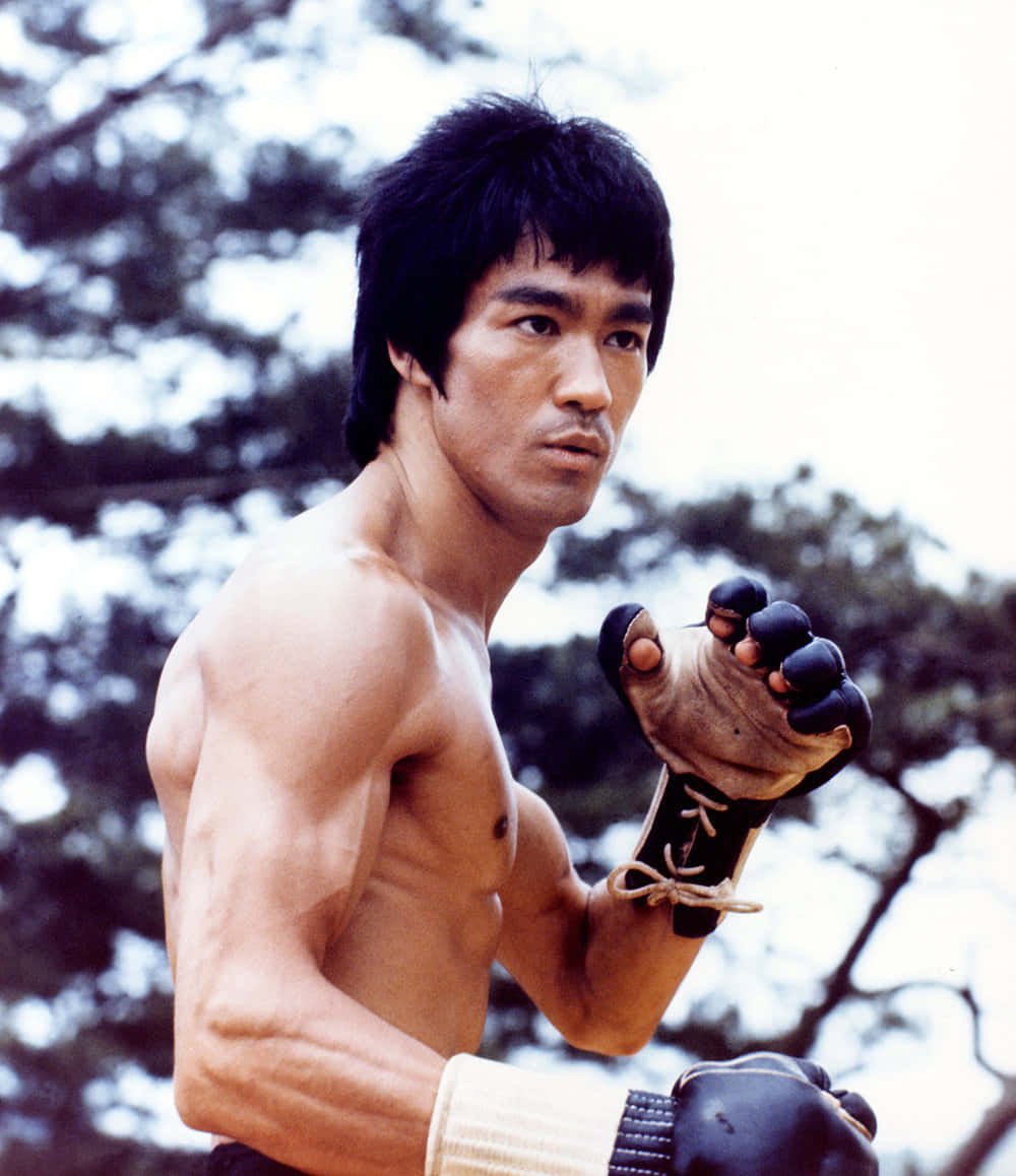 李小龍 桌布 壁紙 — 李小龍在戶外赤膊上身，身後有樹木，擺出戰鬥姿勢，戴著無指手套。