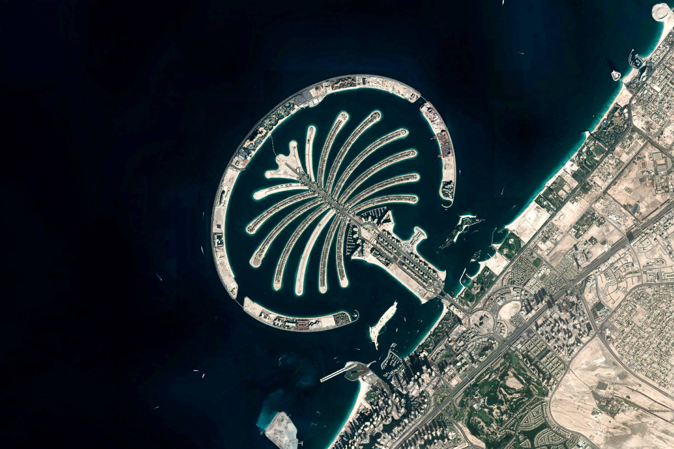 Google 地球 桌布 壁紙 — 杜拜阿拉伯灣中標誌性的棕櫚島衛星航拍圖，形狀像一棵棕櫚樹。