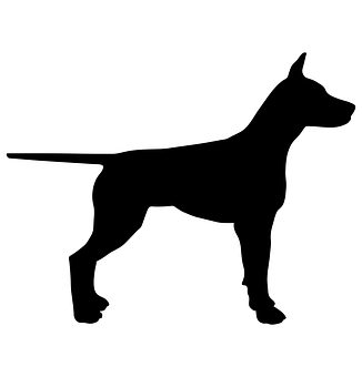 杜賓犬剪影 — 狗 壁紙