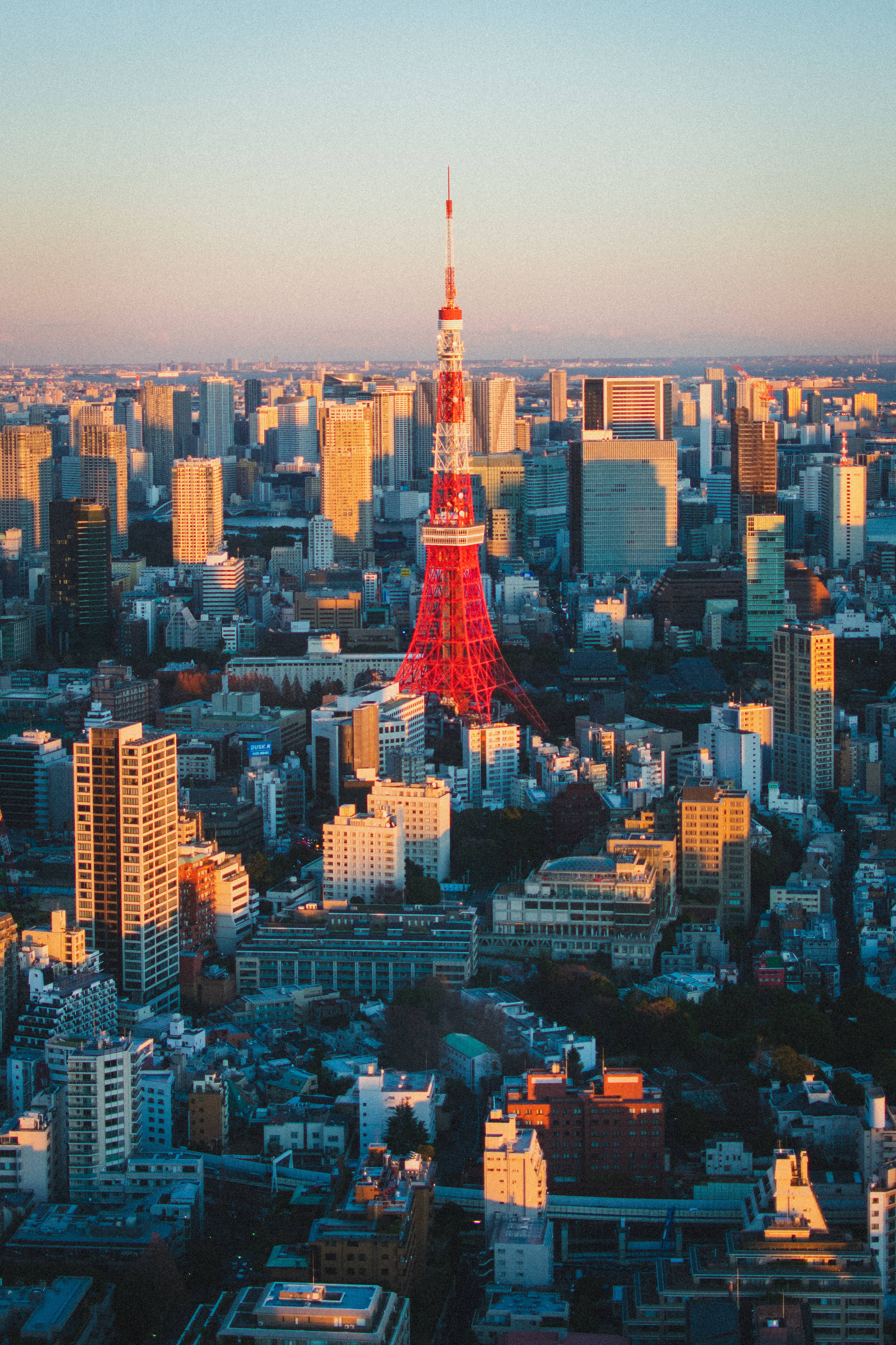 日本 桌布 壁紙 — 東京塔在溫暖的夕陽光下，聳立於密集的現代摩天大樓和低層建築的城市天際線之上。