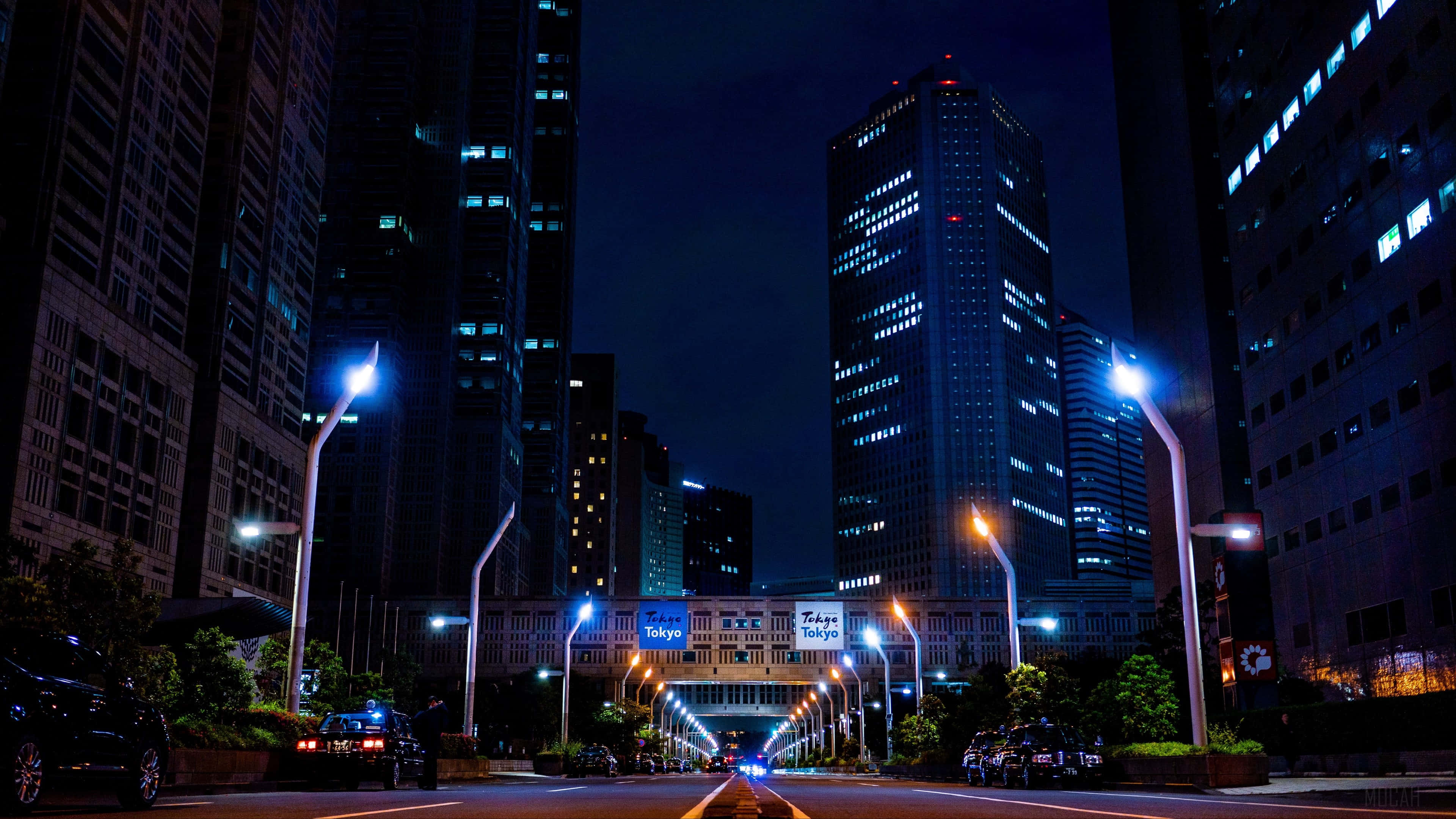 City Lights 桌布 壁紙 — 東京夜晚的街道，被閃爍著藍白燈光的摩天大樓所環繞。