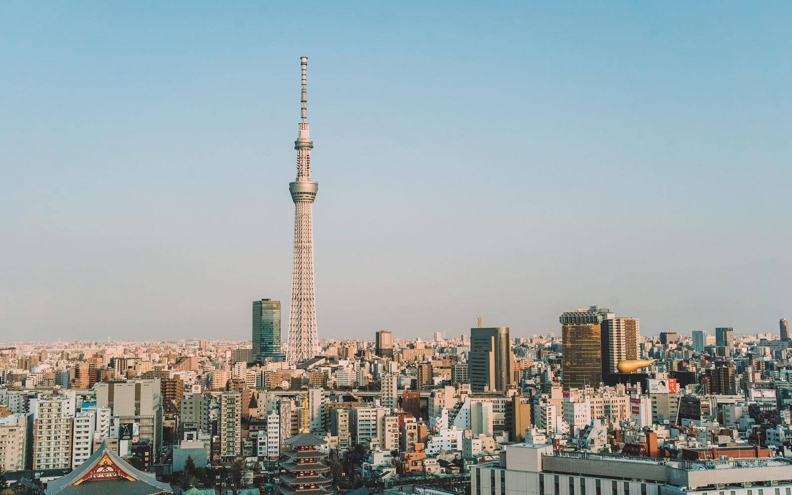 Asia 桌布 壁紙 — 東京晴空塔在晴朗的藍天和溫暖的黃金時段光線下，聳立在密集的城市天際線之上。