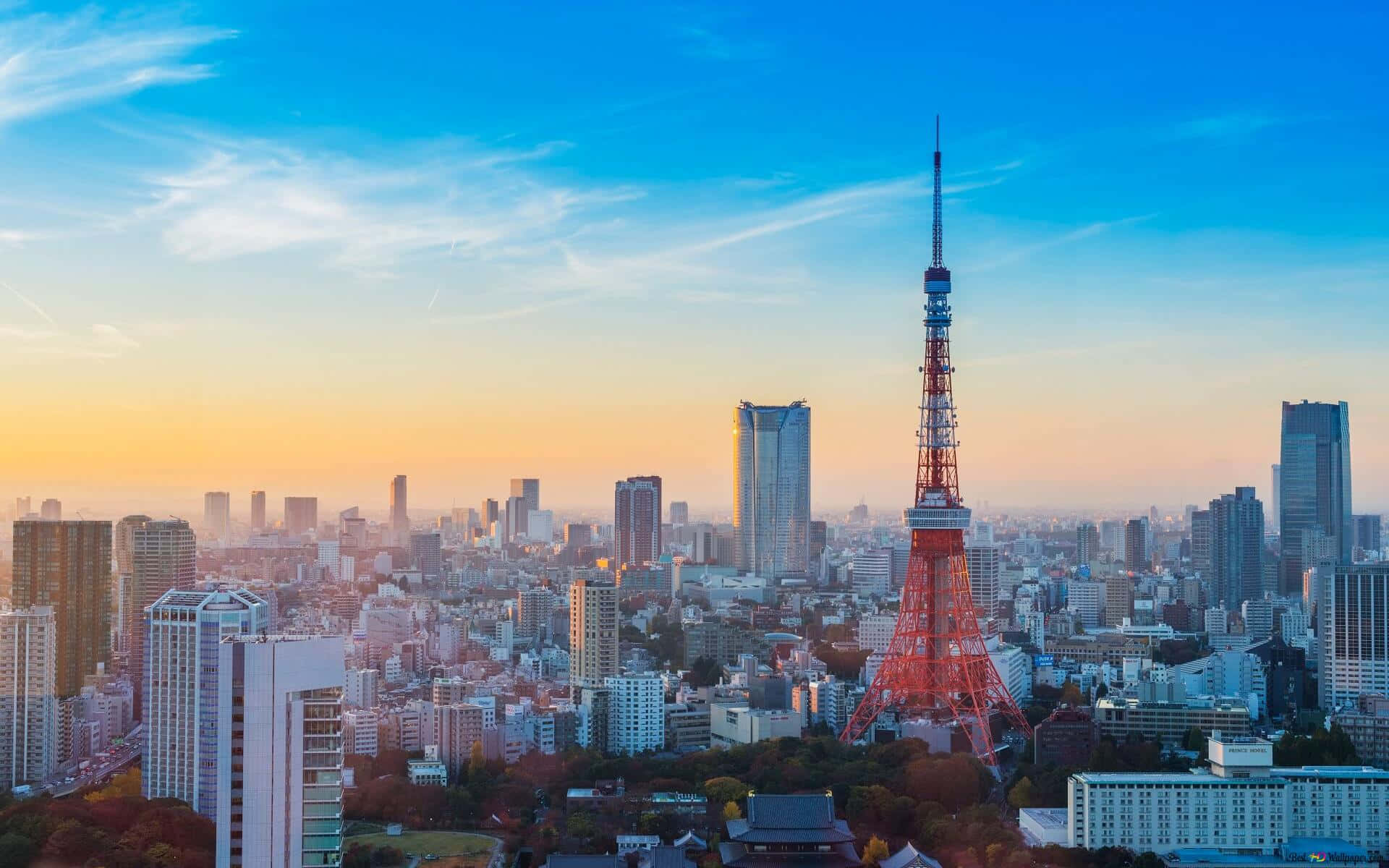 東京 桌布 壁紙 — 東京鐵塔在充滿活力的日落天空下，聳立在擁有現代摩天大樓和秋樹的廣闊城市天際線之上。
