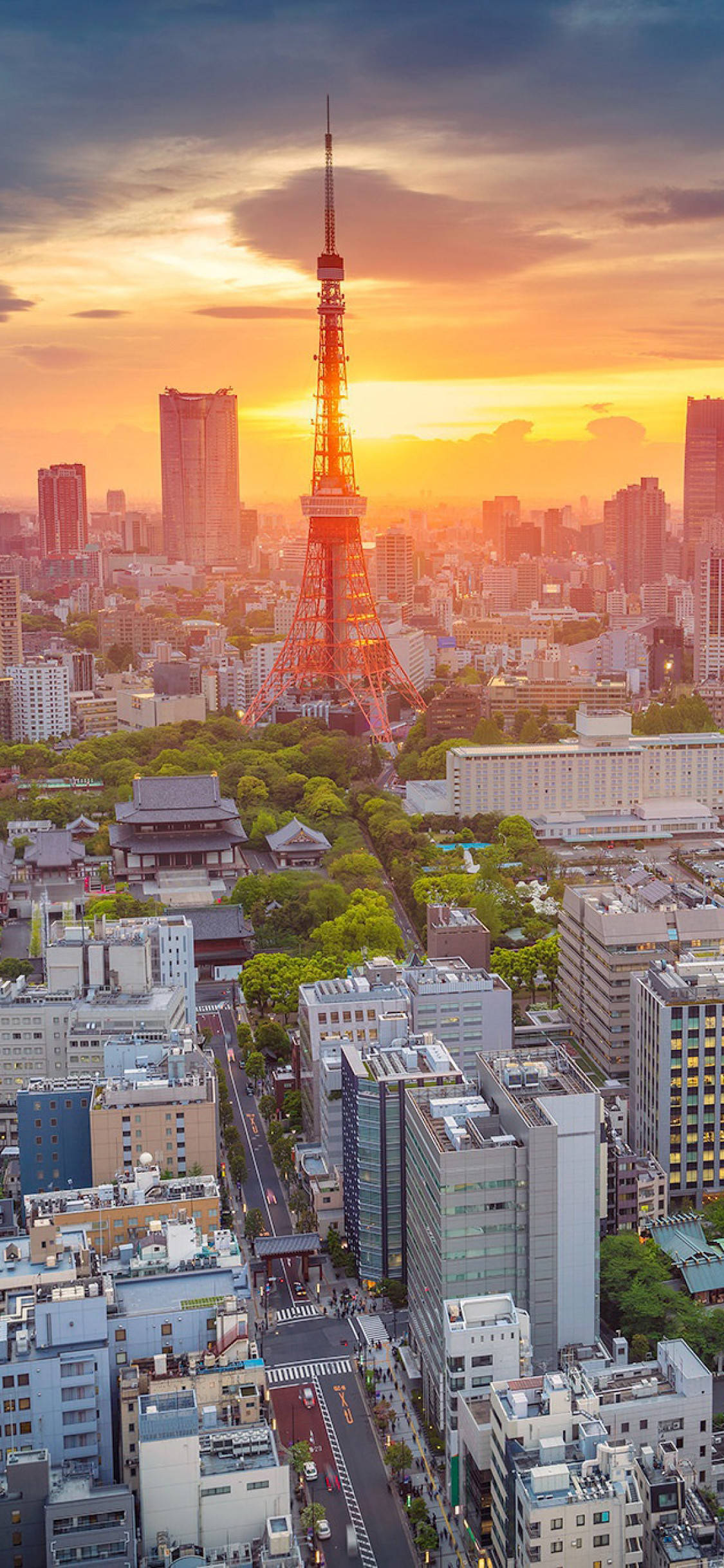 日本 桌布 壁紙 — 東京鐵塔在火紅的夕陽天空下閃耀著金色光芒，下方是現代摩天大樓與傳統屋頂交織的密集都市叢林。