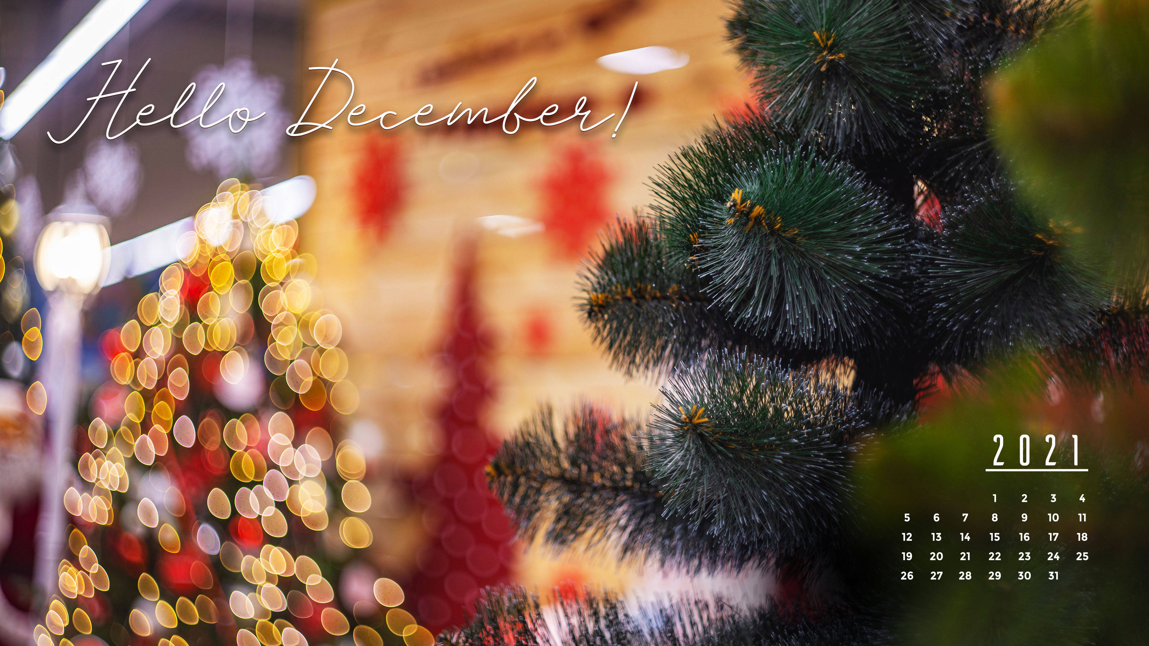 十二月 桌布 壁紙 — 松樹枝的特寫，帶有散景節日燈光和「Hello December」日曆疊加。