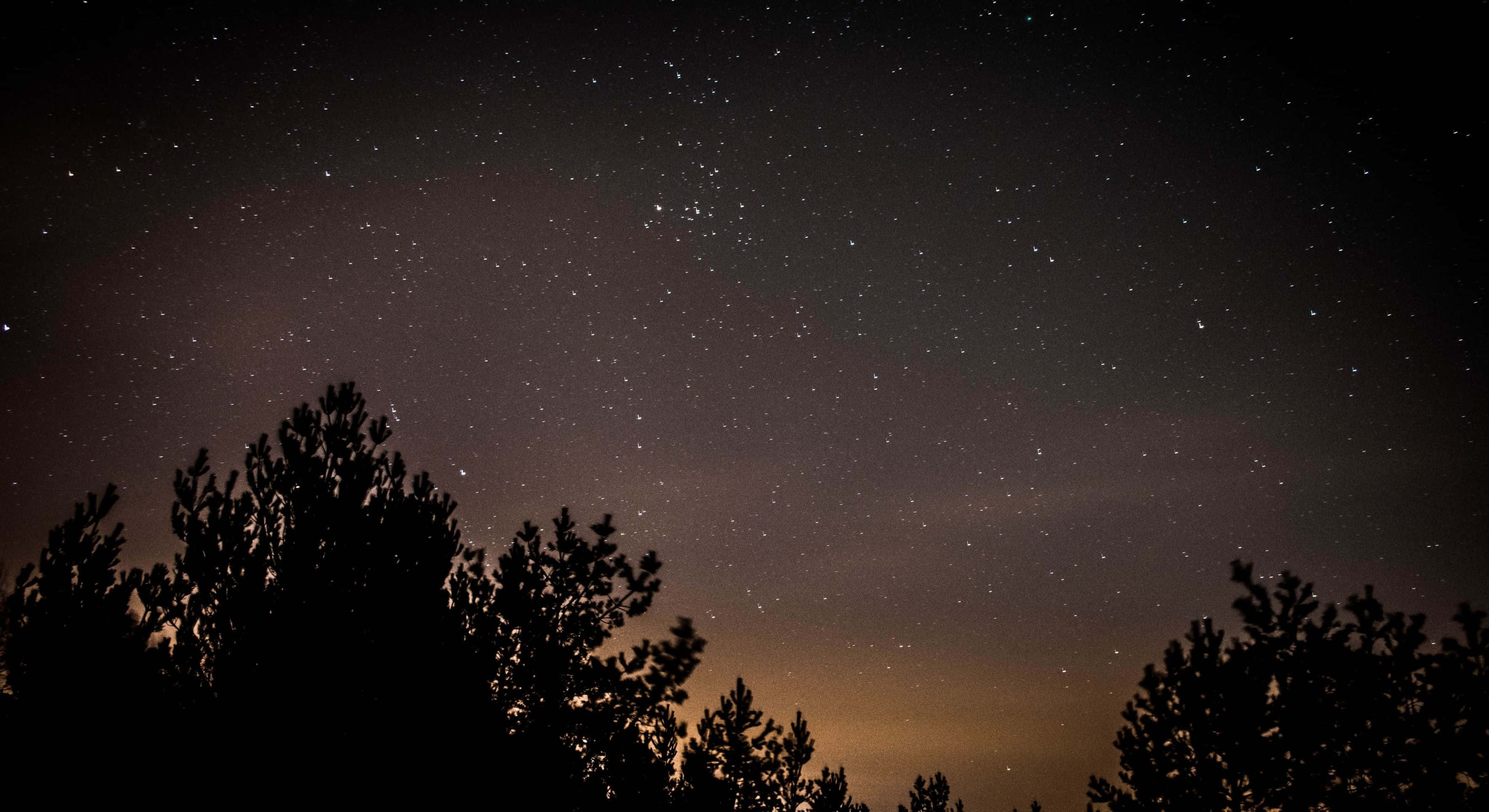 Stars 桌布 壁紙 — 松樹的剪影框住了一片廣闊的星空，地平線附近帶有微妙的橙色光芒。