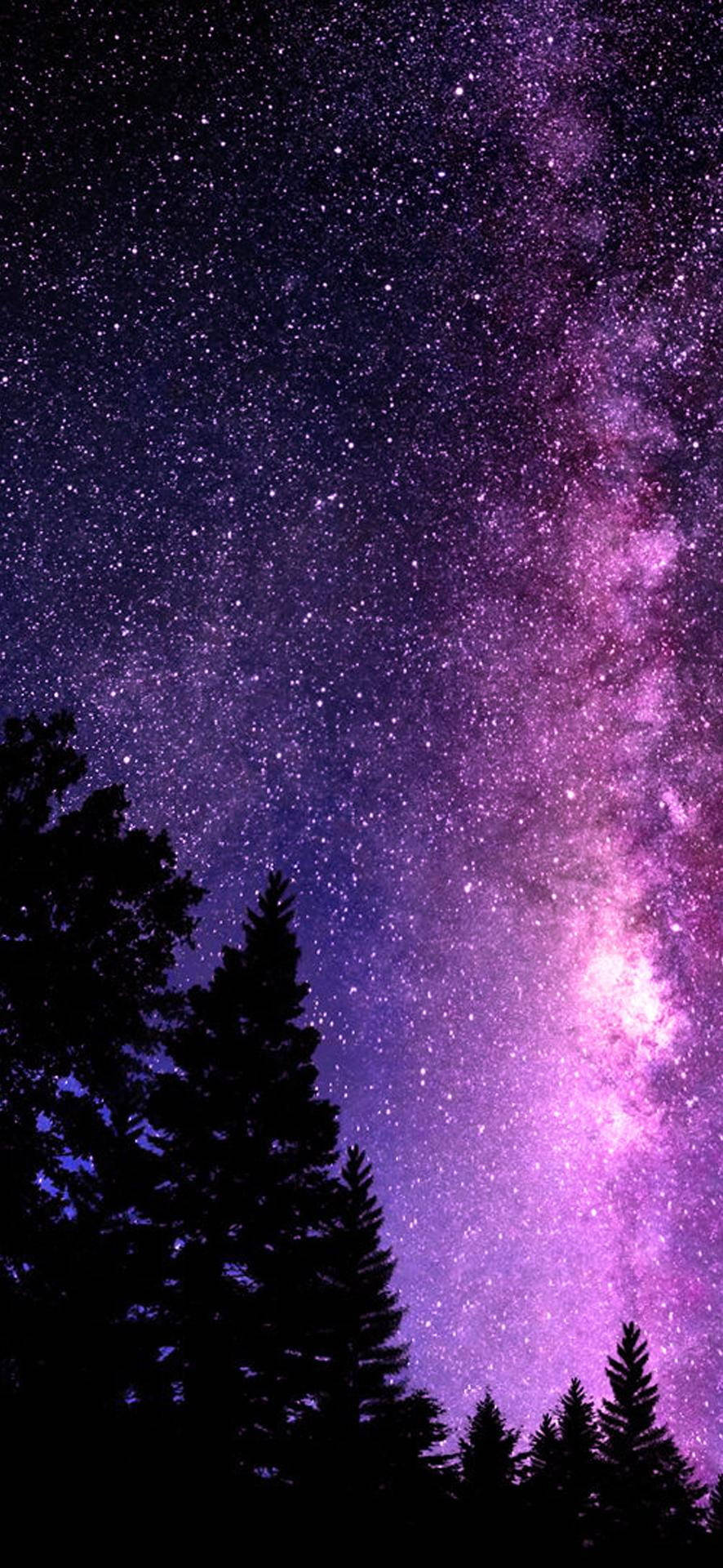 Pretty Galaxy 桌布 壁紙 — 松樹的剪影襯托出壯麗的紫色和粉紅色銀河系，閃爍著無數星星。