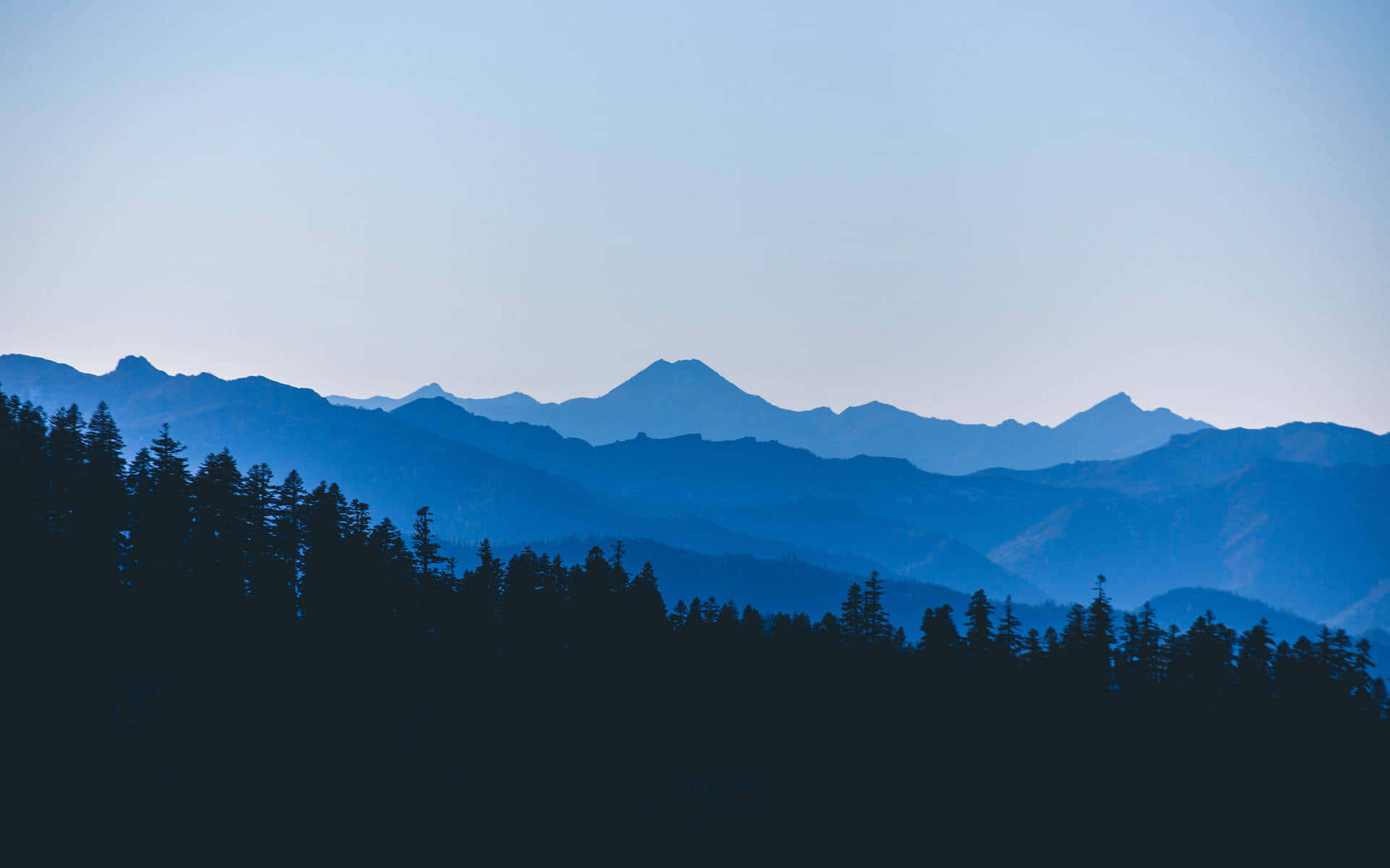 Minimalist Blue 桌布 壁紙 — 松樹的剪影襯托出層層疊疊的山脈，在蒼白的天空下逐漸融入大氣中的藍色薄霧。