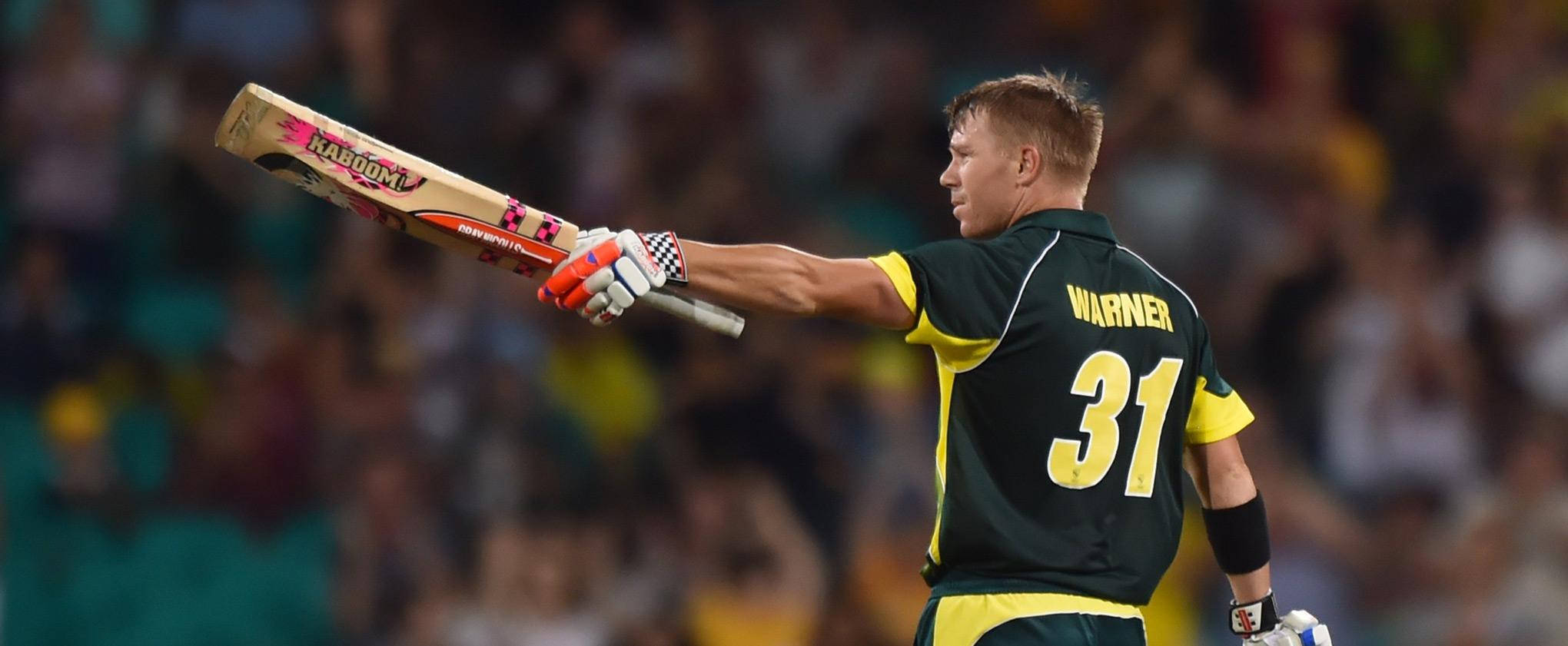 Warner 桌布 壁紙 — 板球選手華納身穿綠色和黃色球衣，在夜間比賽的體育場燈光下高舉球棒慶祝勝利。