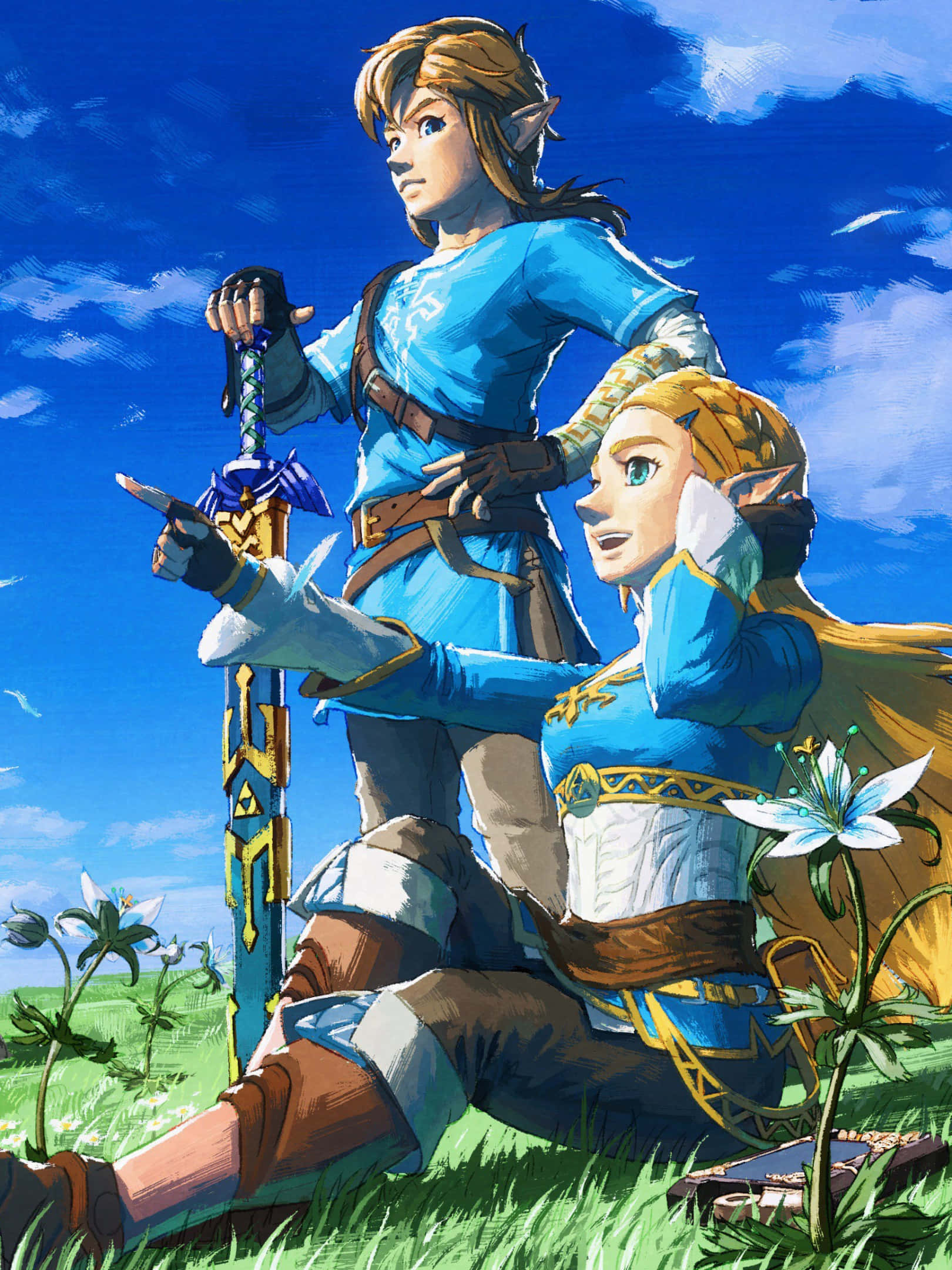 Zelda Phone 桌布 壁紙 — 林克和薩爾達一起坐在陽光明媚的草地上，在藍天白雲下拿著一把劍。