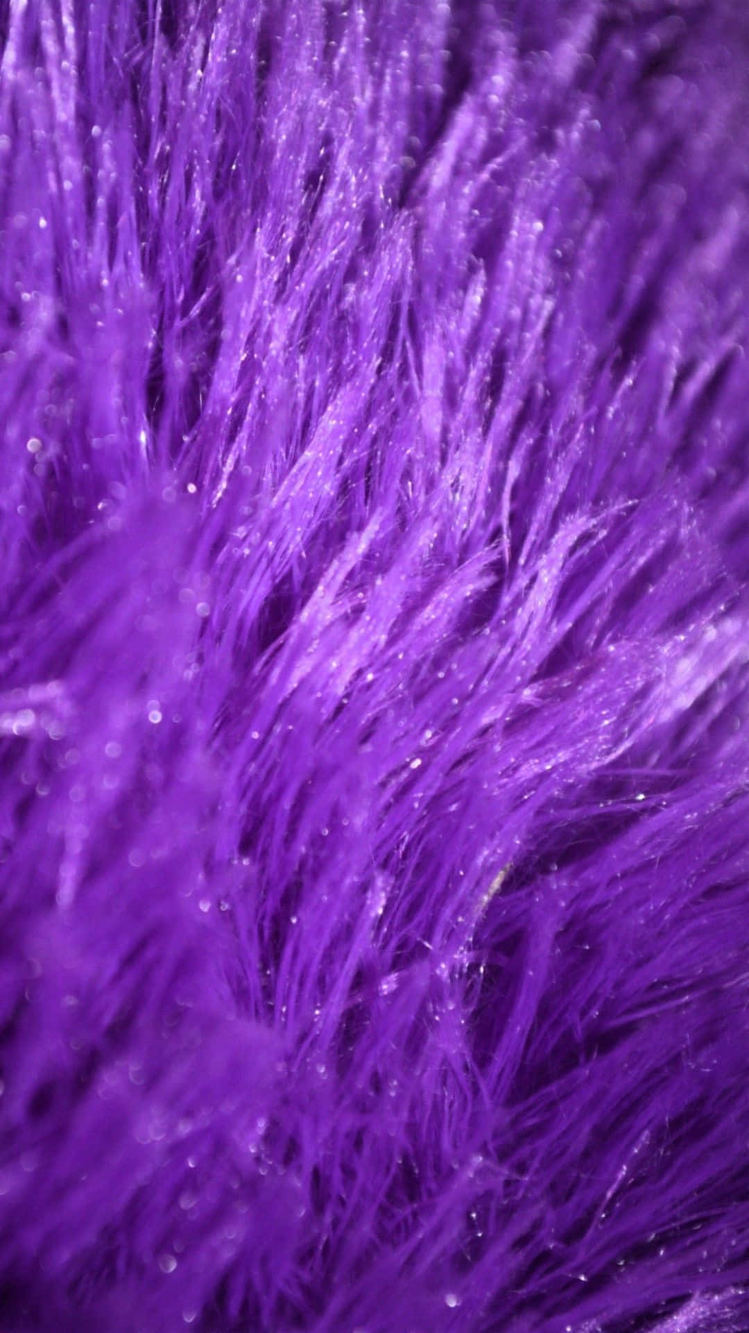 Purple Faux Fur 桌布 壁紙 — 柔光下，充滿活力的紫色蓬鬆纖維近距離特寫，閃爍著閃亮的亮片顆粒。
