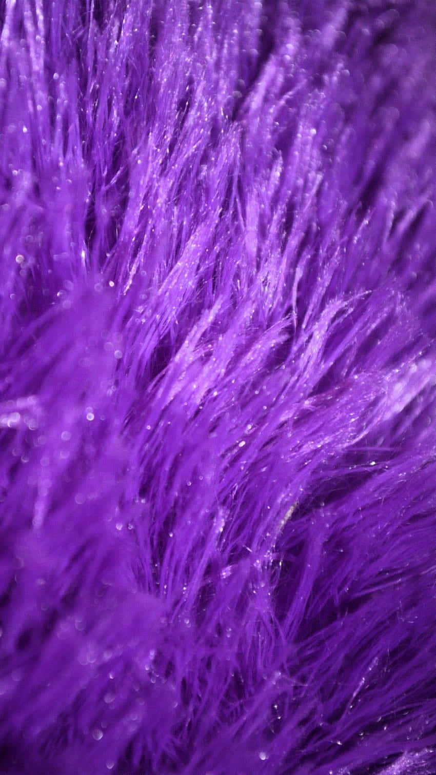 Purple Fur 桌布 壁紙 — 柔光下，鮮豔紫色絨毛纖維近距離特寫，閃爍著璀璨亮點。