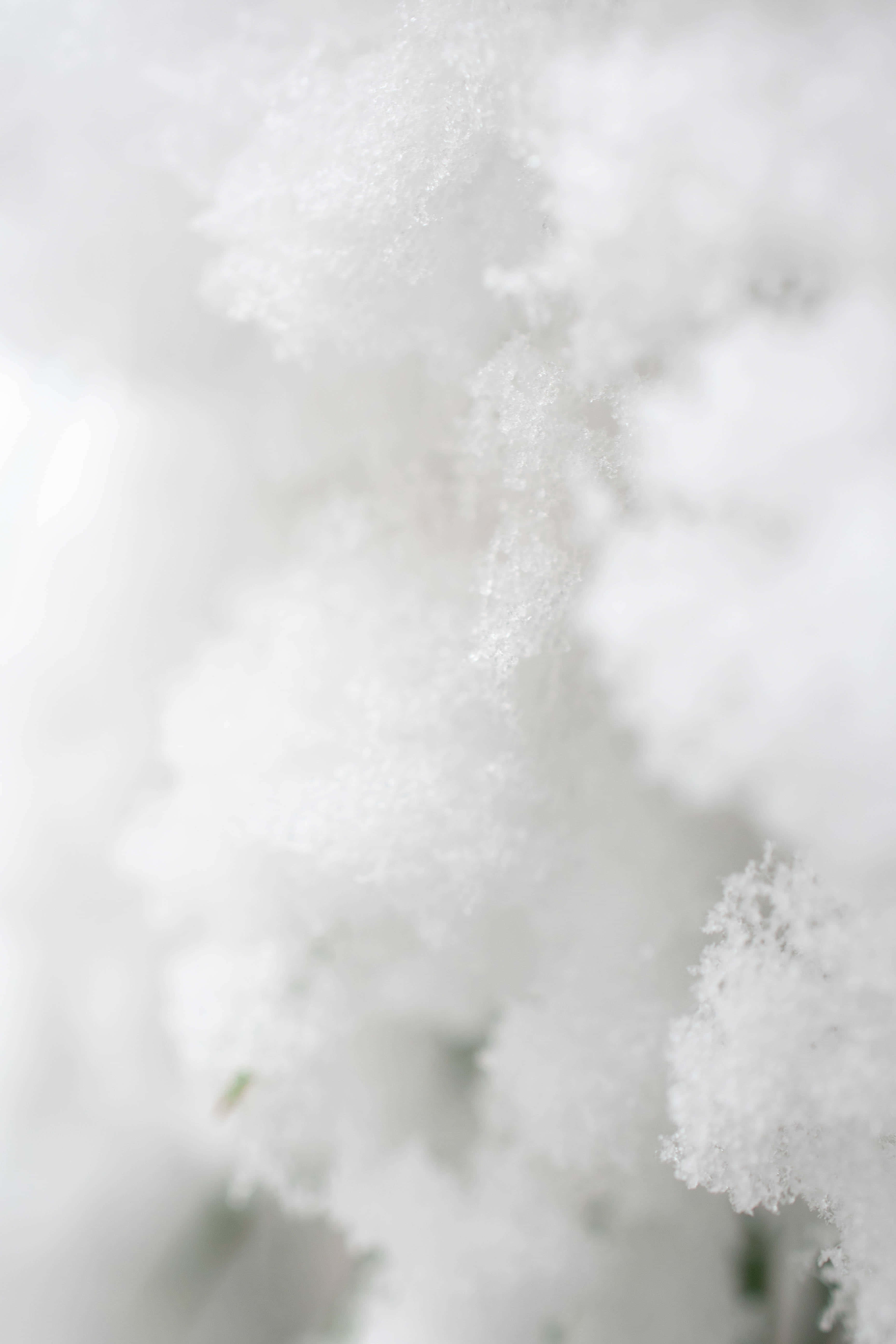 White Smoke 桌布 壁紙 — 柔和冬日場景中，精緻雪花依附在樹枝上的特寫。