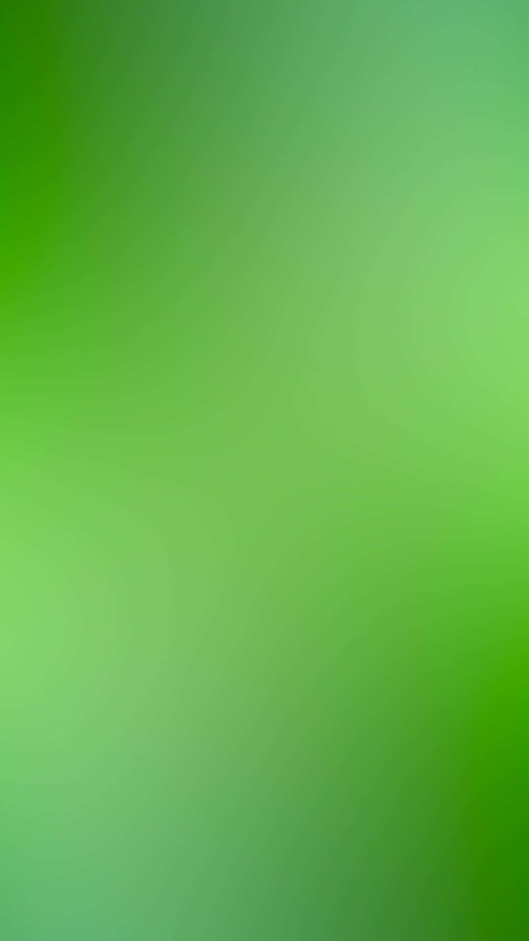 Green Gradient 桌布 壁紙 — 柔和到鮮豔的綠色調平穩過渡，在畫面中流暢融合。