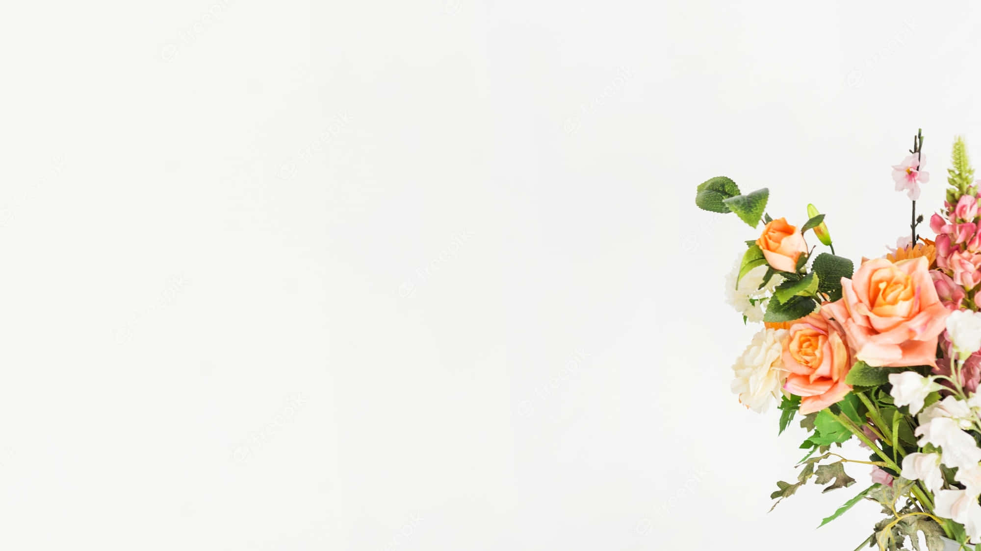 Flower White 桌布 壁紙 — 柔和地擺放蜜桃粉紅和白色玫瑰，配以綠葉，在潔白背景上。