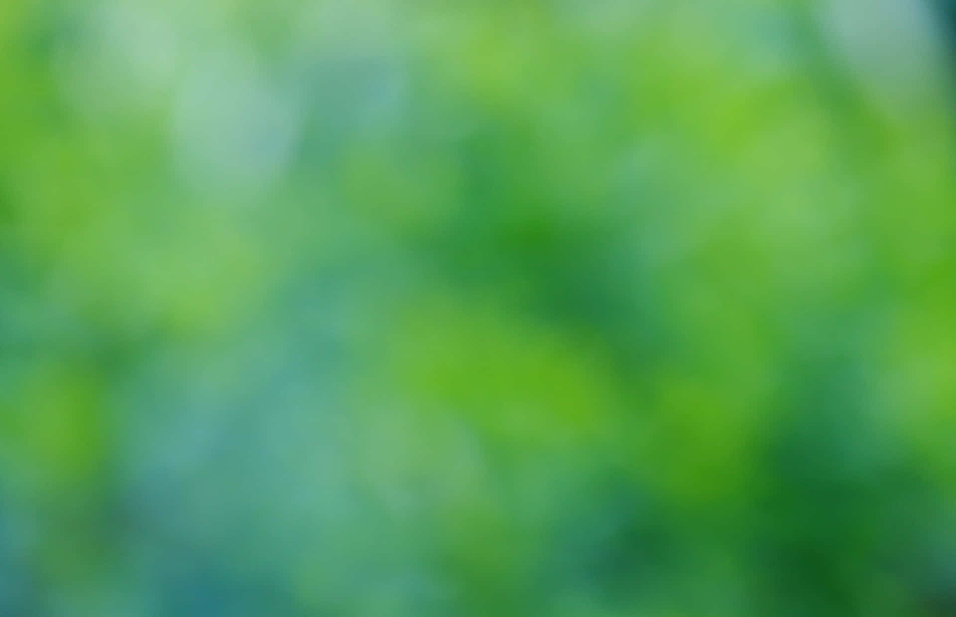 背景 桌布 壁紙 — 柔和失焦的鮮綠色和藍綠色混合，營造出寧靜的森林氛圍。
