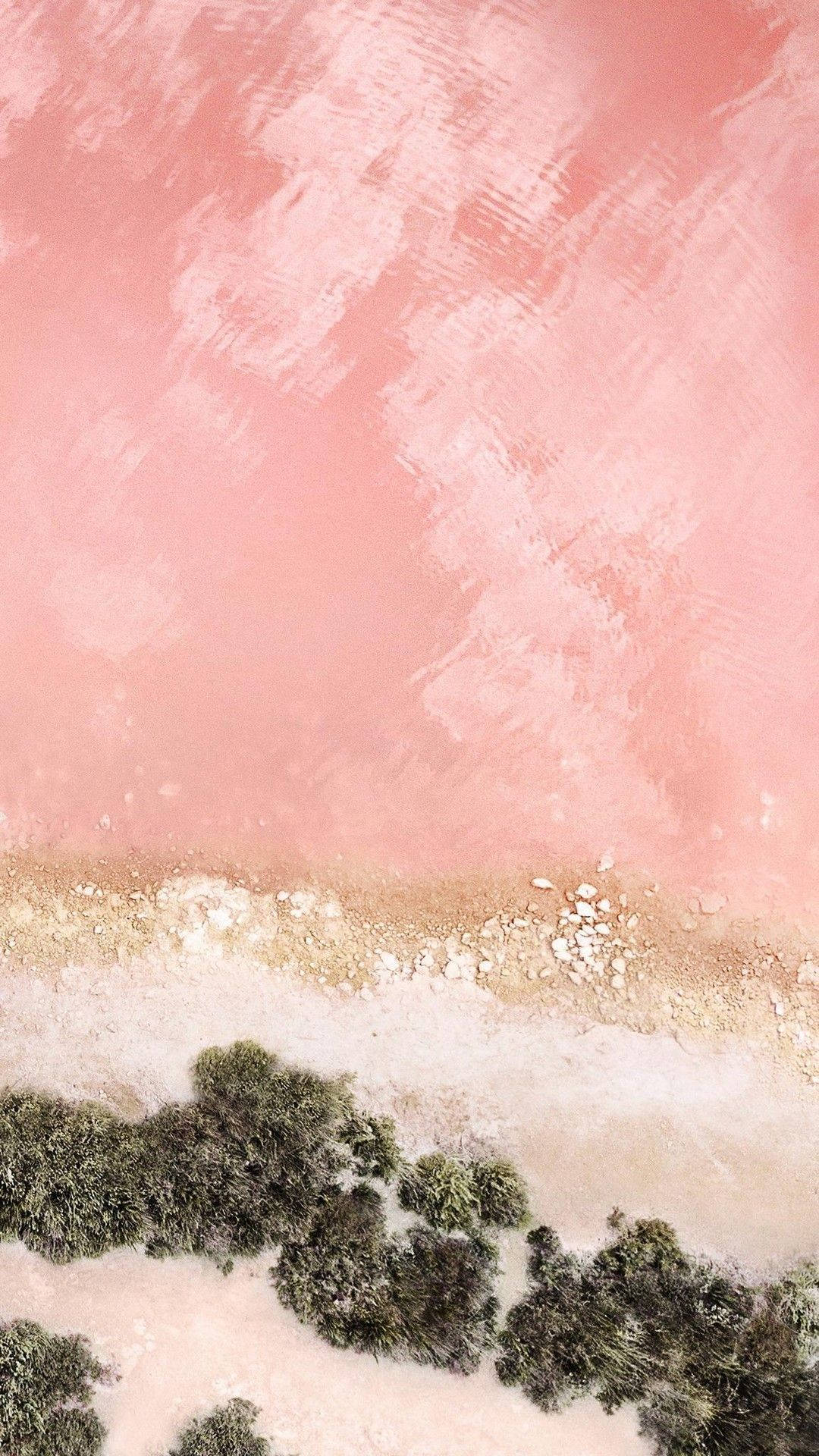 Pink iPhone Xr 桌布 壁紙 — 柔和日光下，一片超現實的粉紅色鹽湖，四周環繞著綠色灌木和白色鹽殼的航拍視圖。