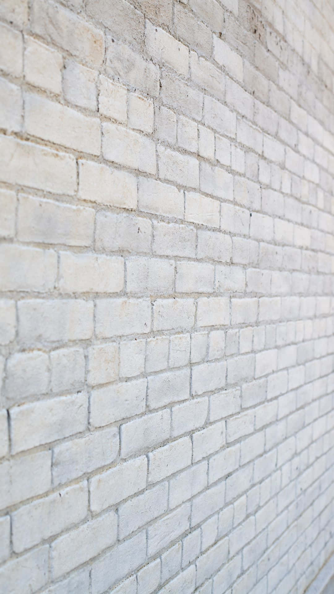 White Brick 桌布 壁紙 — 柔和日光下，乾淨白色磚牆的特寫，帶有細微紋理和砂漿線。