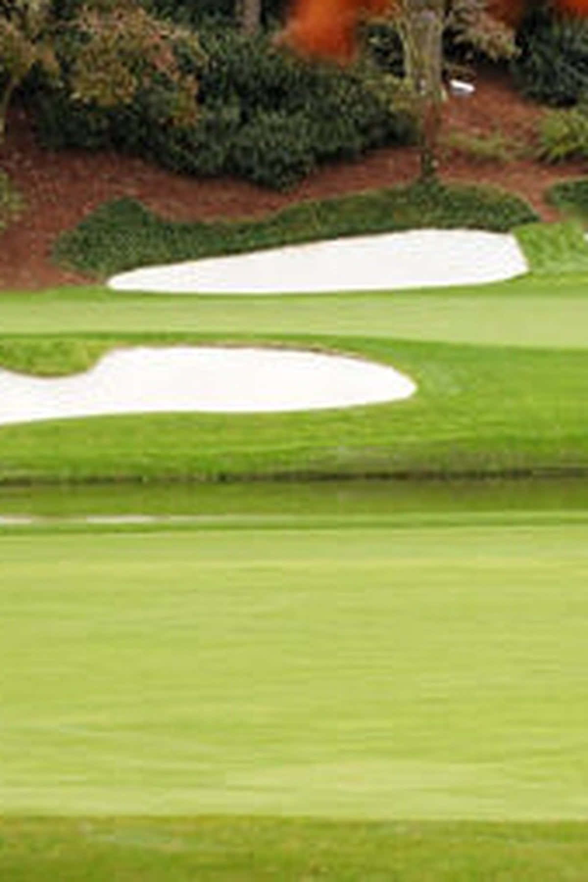 Augusta National iPhone 桌布 壁紙 — 柔和日光下，高爾夫球場果嶺的近距離視圖，有兩個沙坑和周圍的樹木。