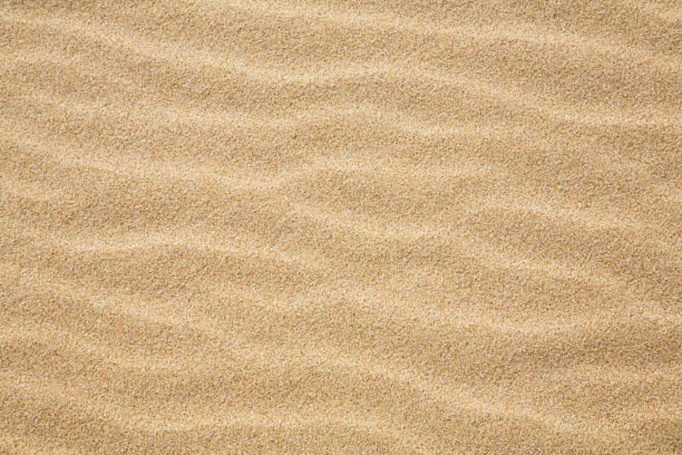 sand 桌布 壁紙 — 柔和日光下金色波紋沙丘的特寫，展現細粒紋理。