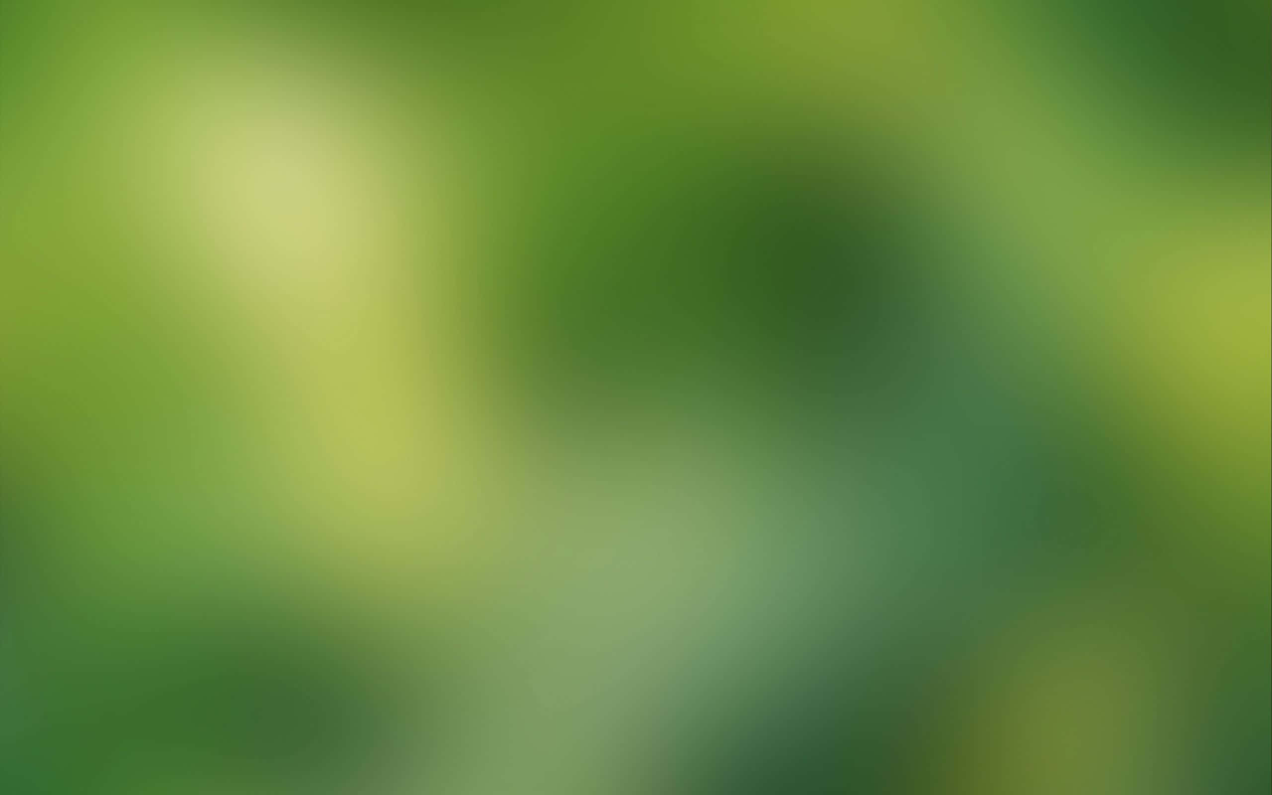 背景 桌布 壁紙 — 柔和模糊的祖母綠和萊姆綠色漸變，喚起寧靜的自然葉片。