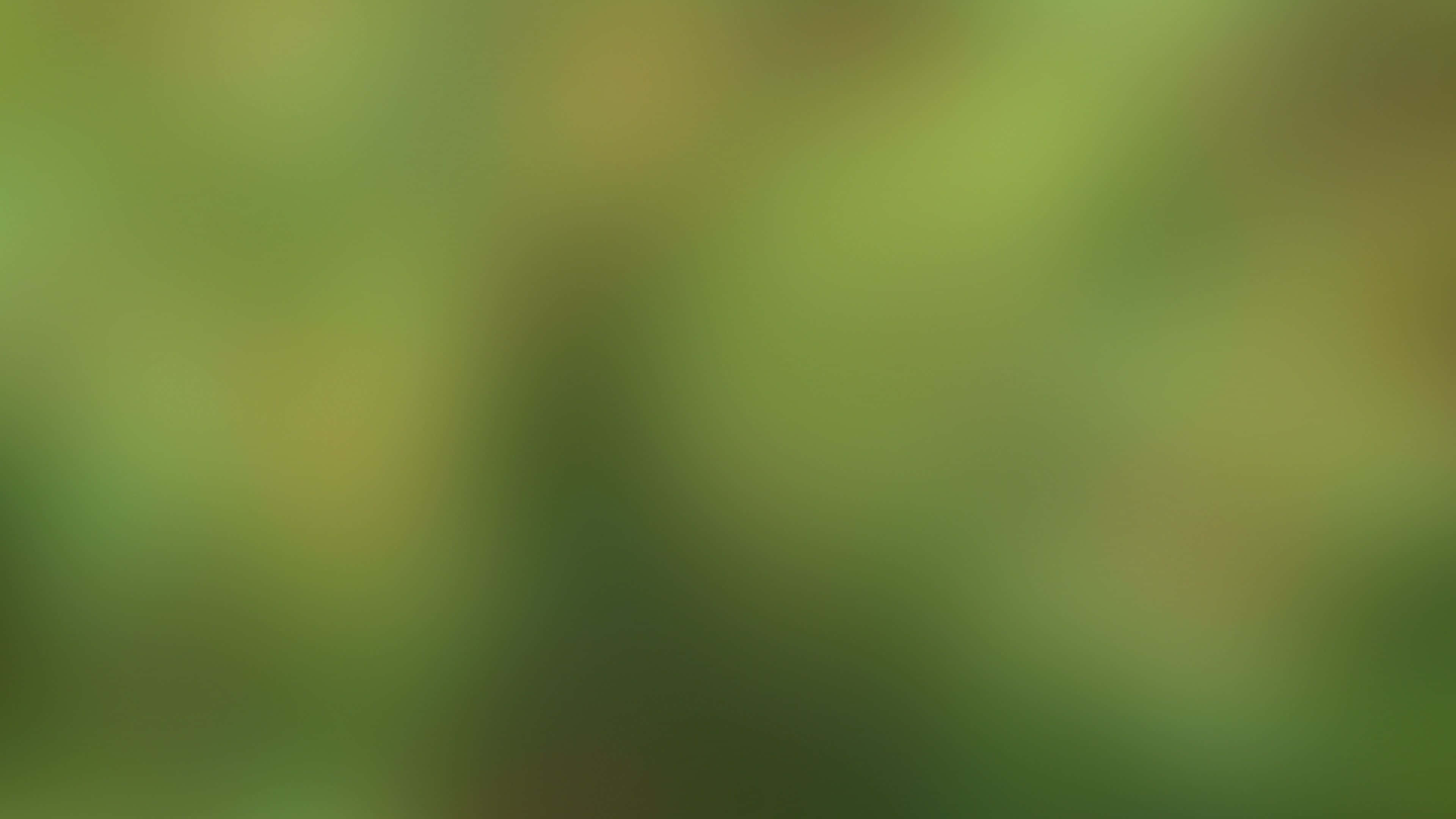 桌布 壁紙 — 柔和模糊的綠色和黃色漸變，營造出寧靜的自然氛圍。