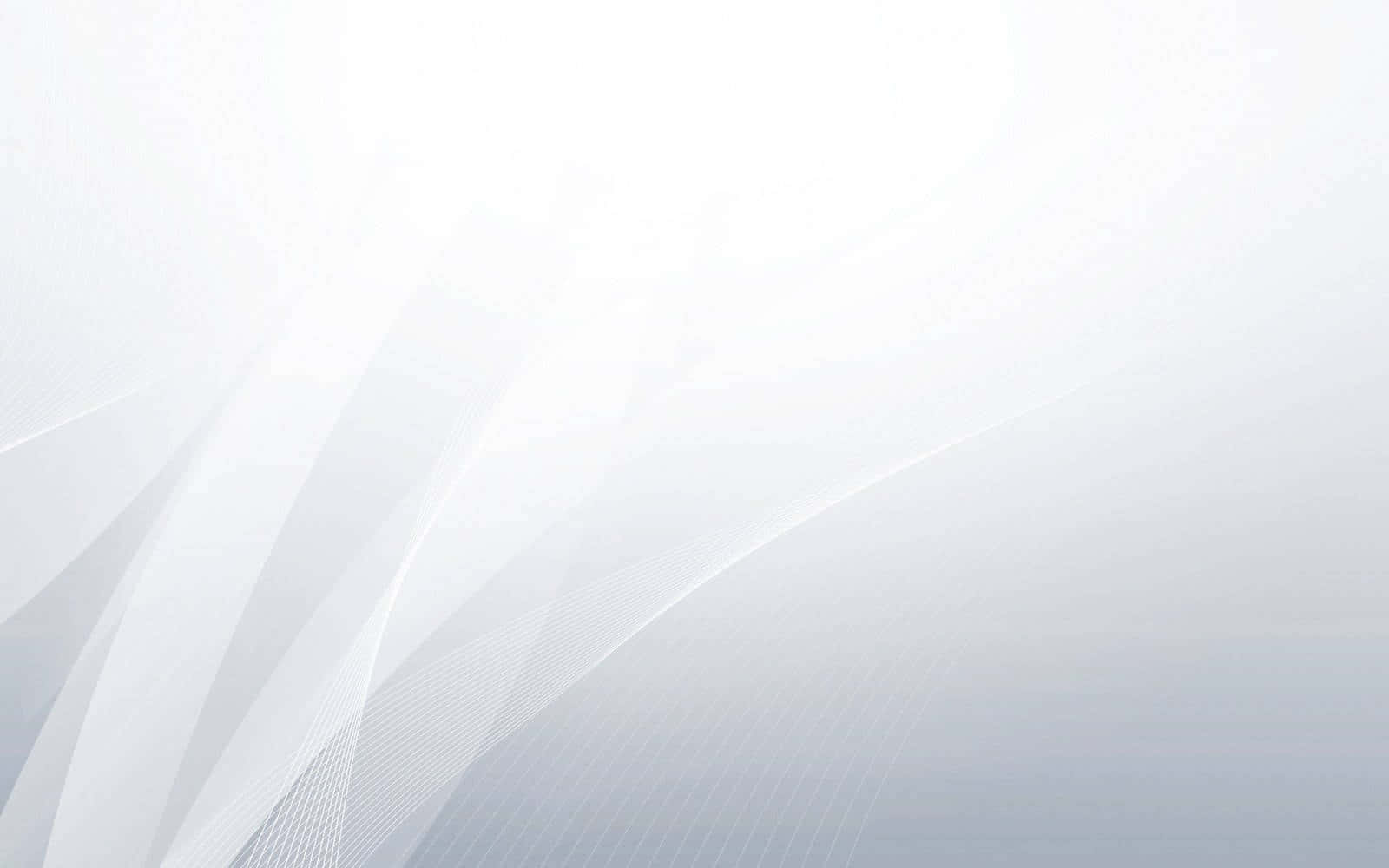 Light Gray 桌布 壁紙 — 柔和流動的白色和灰色抽象線條營造出寧靜簡約的數位背景。