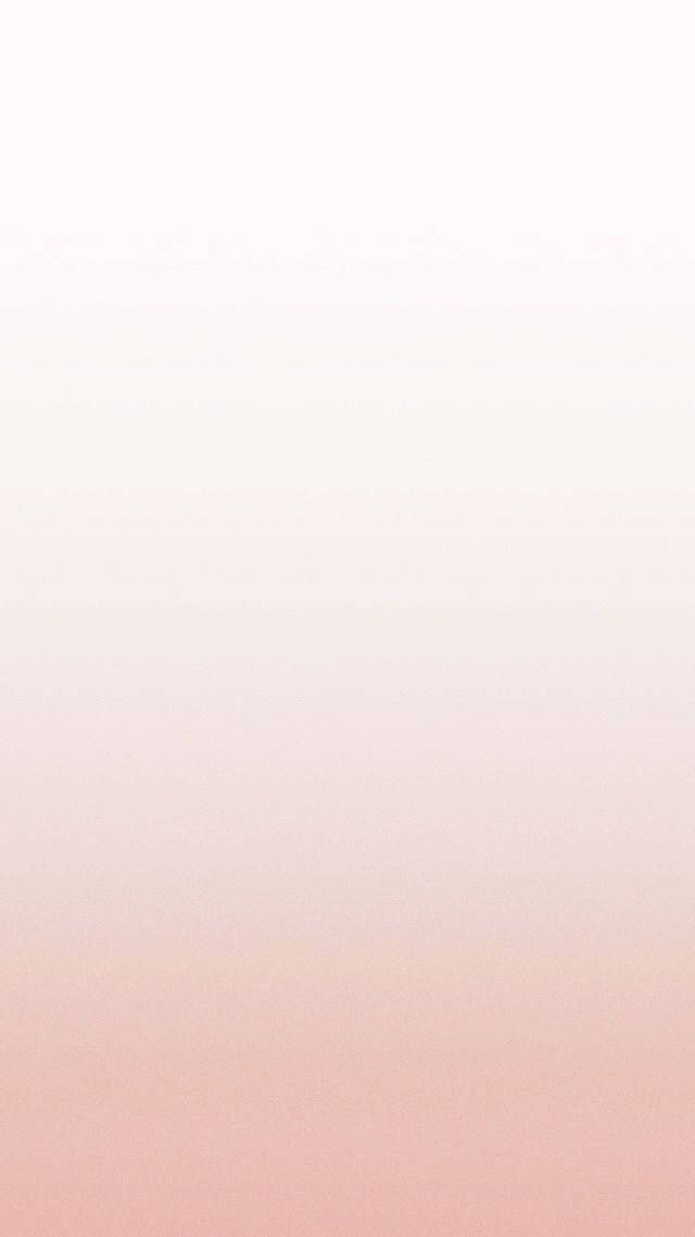 Rose Gold Ombre 桌布 壁紙 — 柔和漸變壁紙，從白色過渡到淡粉紅色，帶有細微紋理。