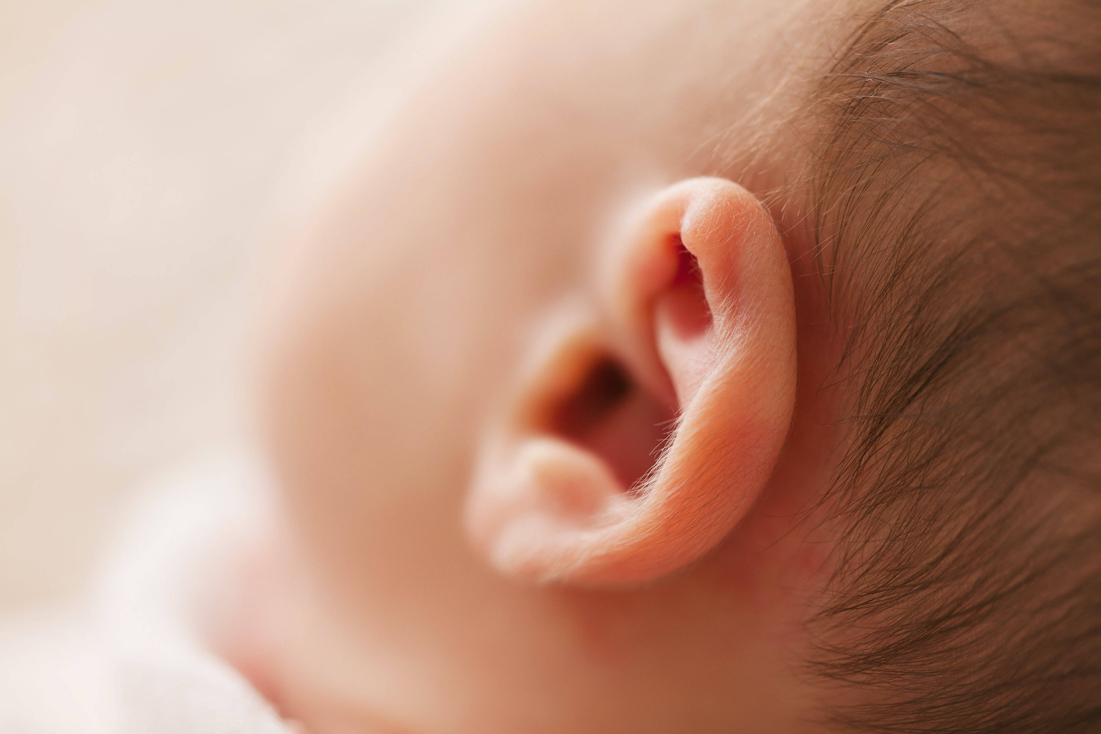 Newborn 桌布 壁紙 — 柔和特寫鏡頭，捕捉嬰兒耳朵，帶有細緻深色毛髮和柔和膚色，背景模糊溫暖。