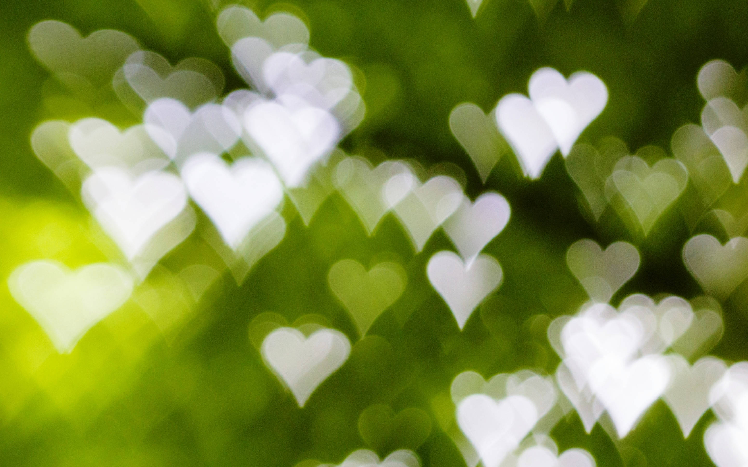 Green Heart 桌布 壁紙 — 柔和白色心形散景燈光在充滿活力的綠色模糊背景上輕輕發光。