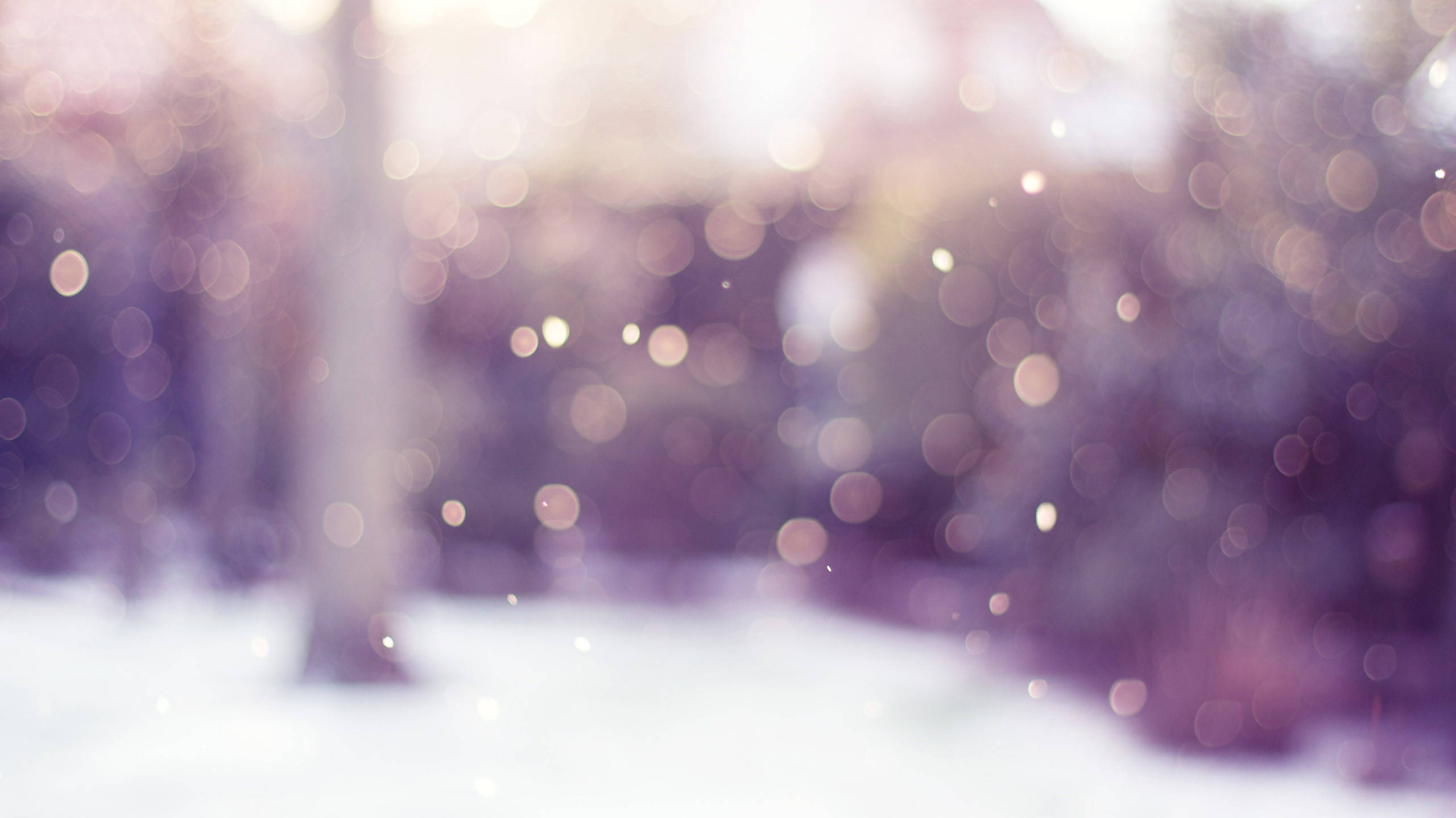 雪景 桌布 壁紙 — 柔和的散景燈光在白雪覆蓋的森林地面上閃爍，模糊的樹幹呈現柔和的紫色和白色色調。