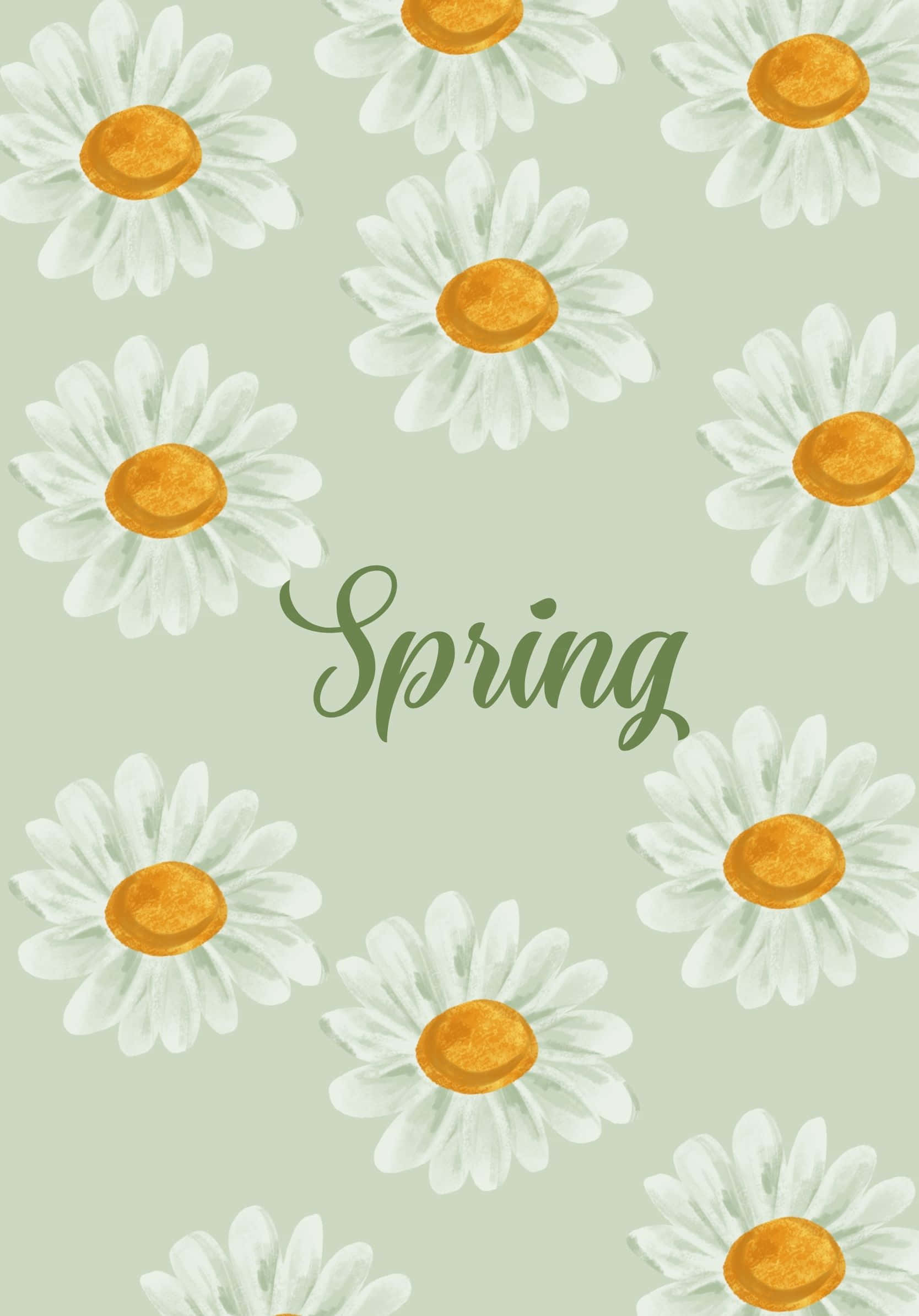 Best Spring 桌布 壁紙 — 柔和的水彩圖案，白色雛菊帶金色花心，襯以淡綠色背景，並以優雅字體寫上「春天」一詞。