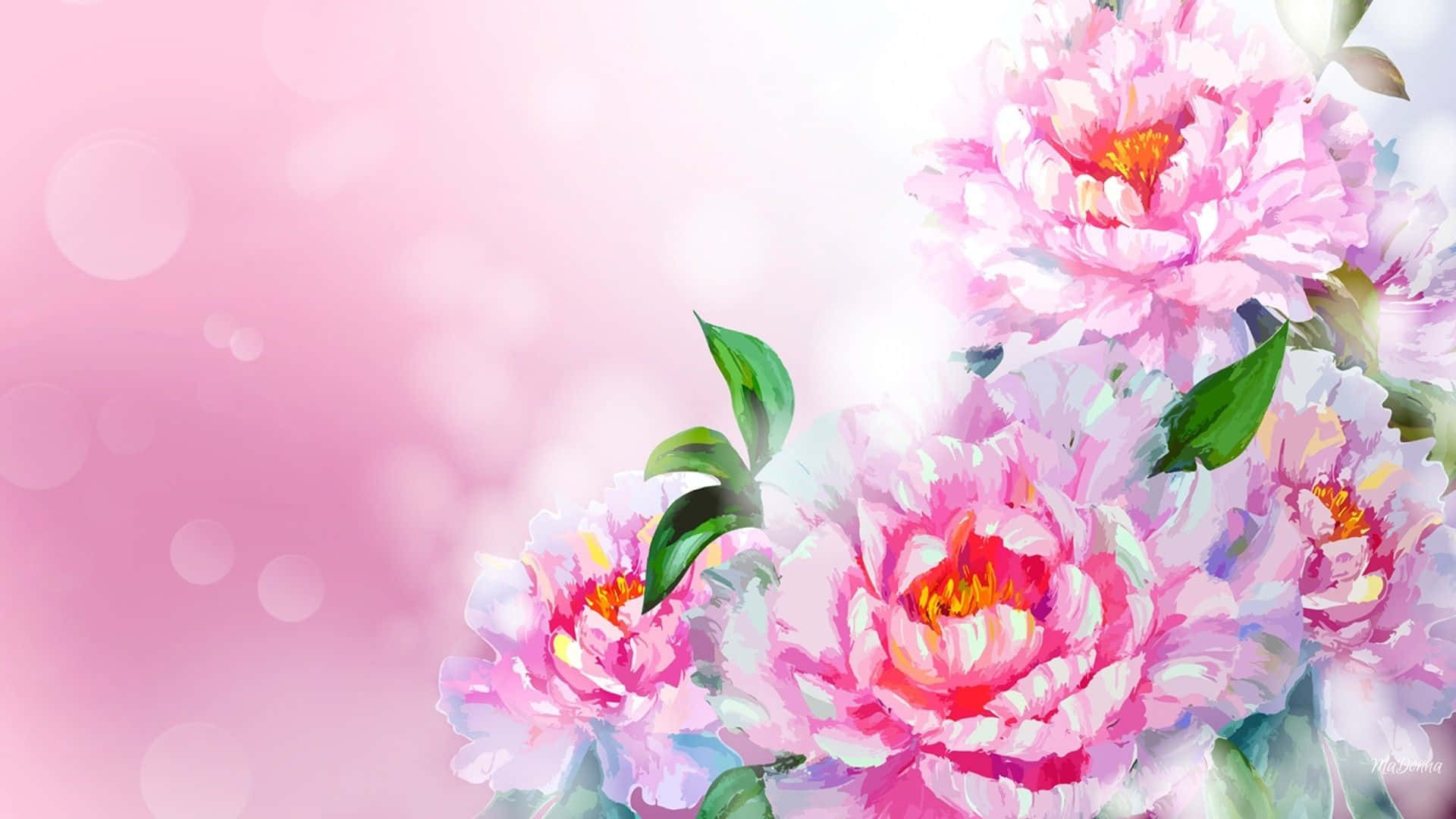 Floral Watercolor 桌布 壁紙 — 柔和的水彩牡丹在夢幻般的散景背景下以粉紅色綻放，光線柔和。