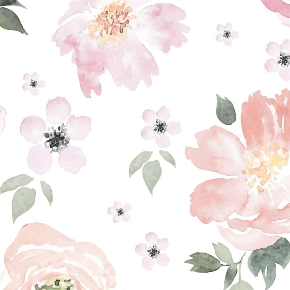 Watercolor 桌布 壁紙 — 柔和的水彩花朵以粉紅和蜜桃色在潔白背景上綻放，搭配精緻的綠葉。